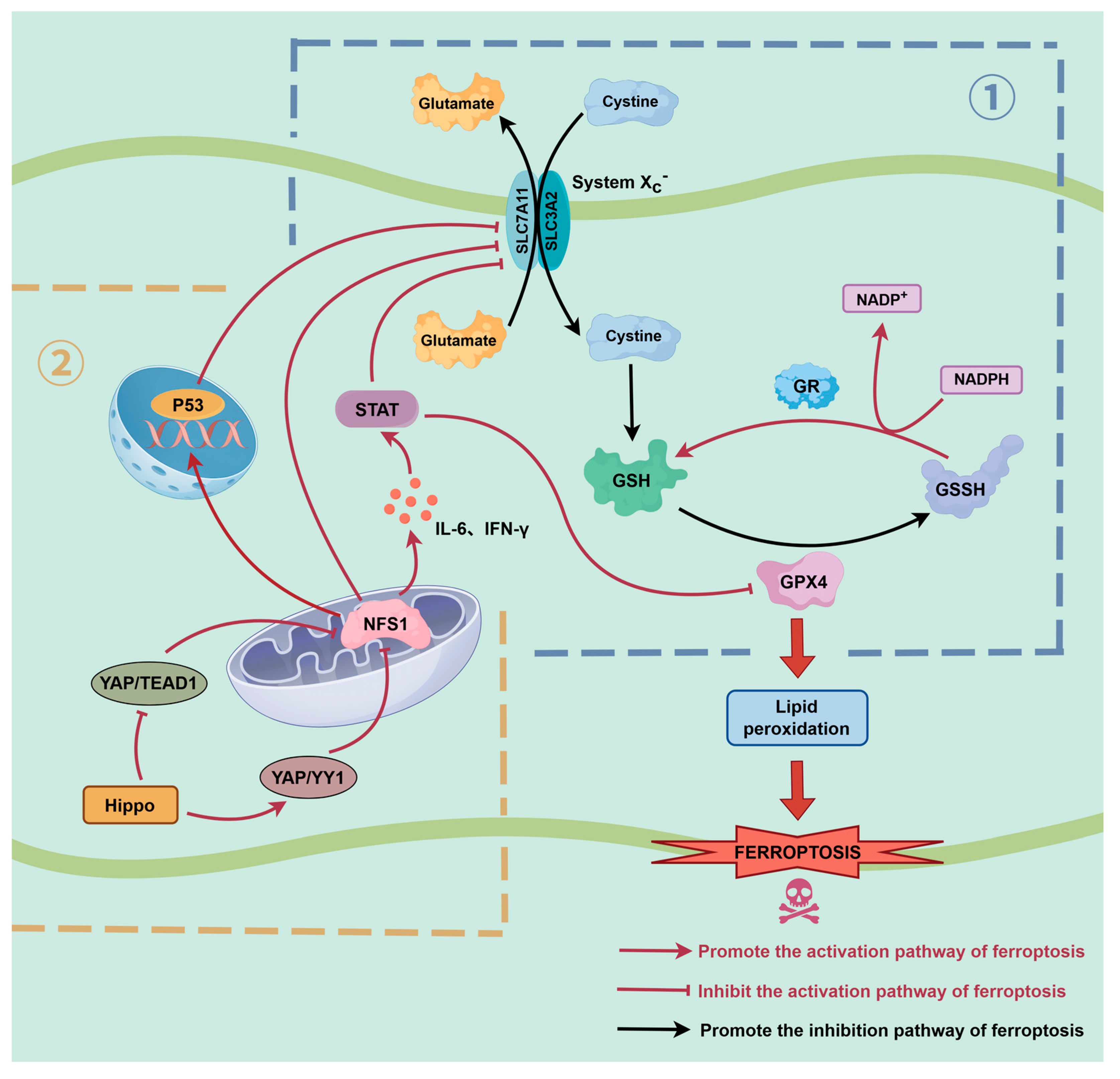 Biomolecules 16 00032 g003