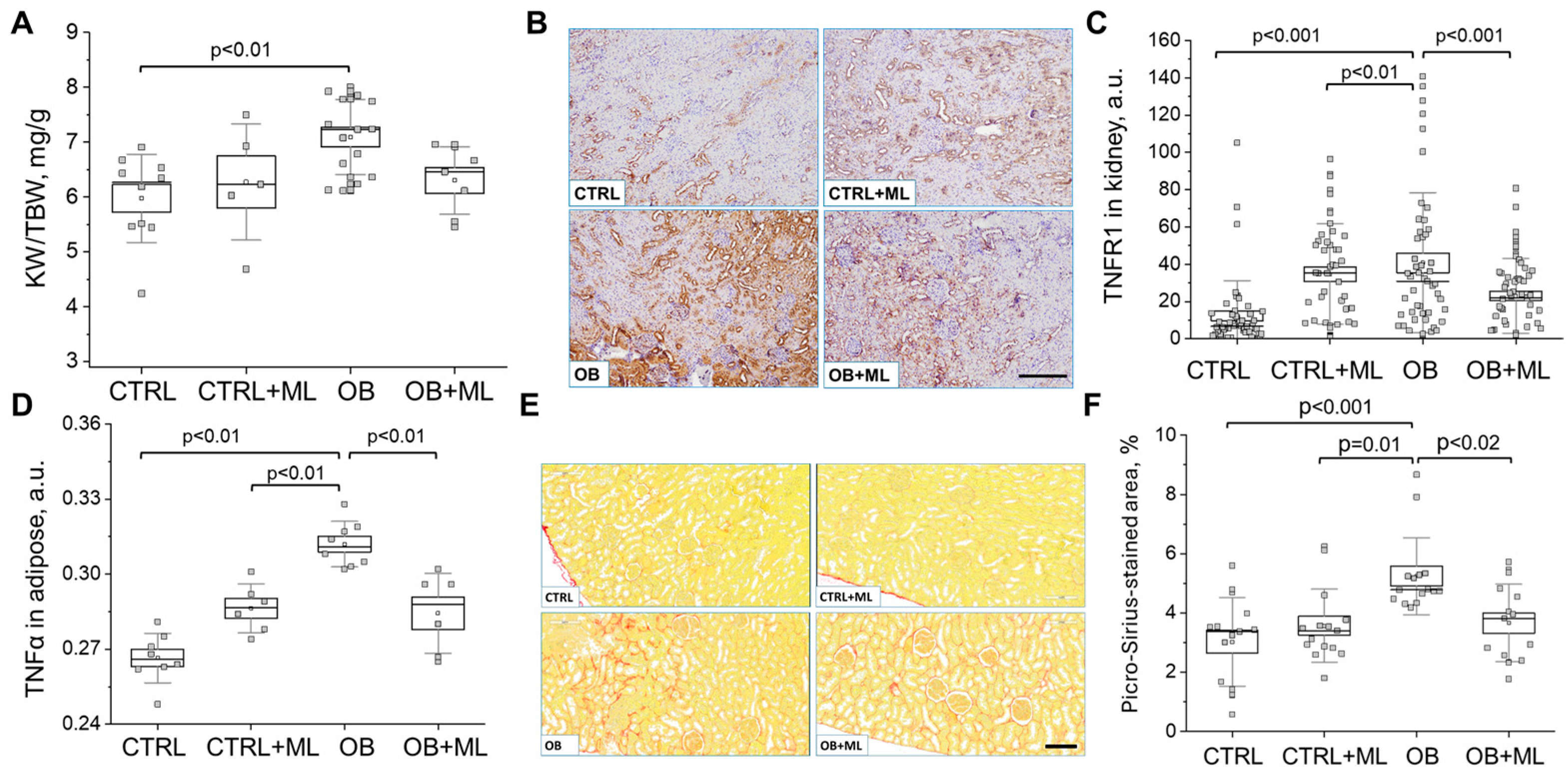 Biomolecules 16 00036 g004