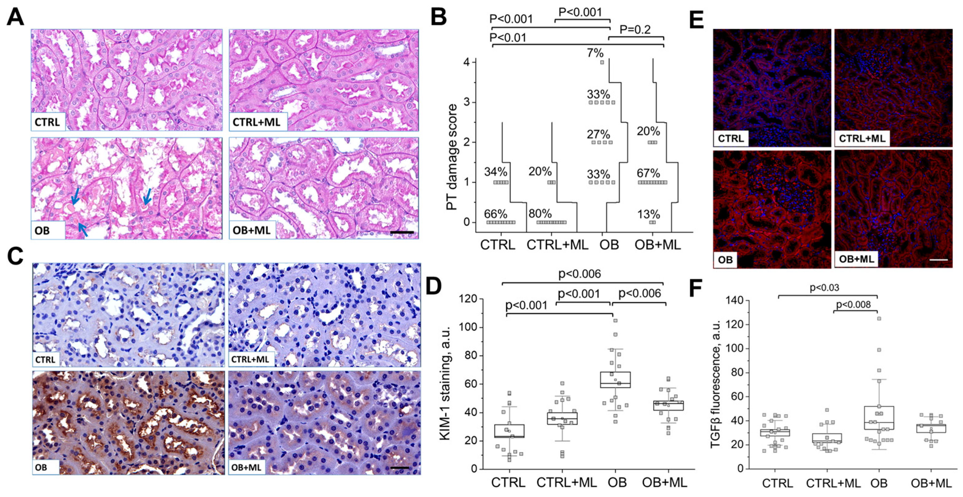 Biomolecules 16 00036 g005