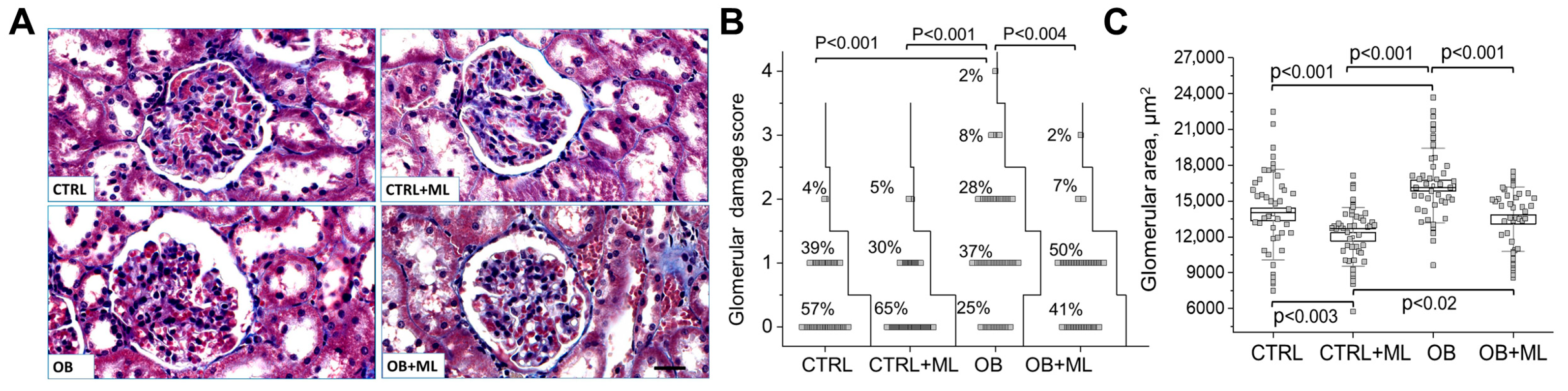 Biomolecules 16 00036 g006
