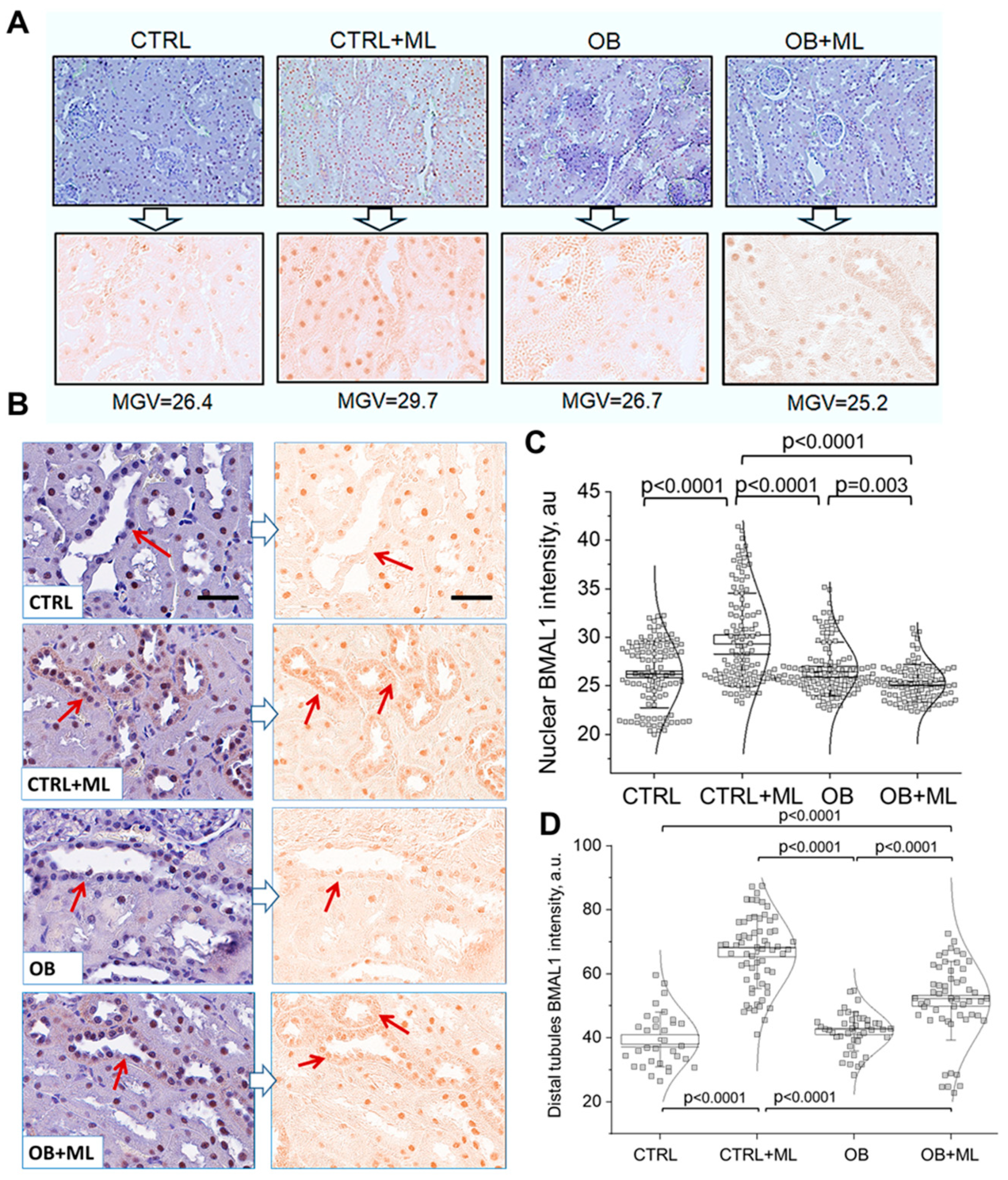 Biomolecules 16 00036 g007