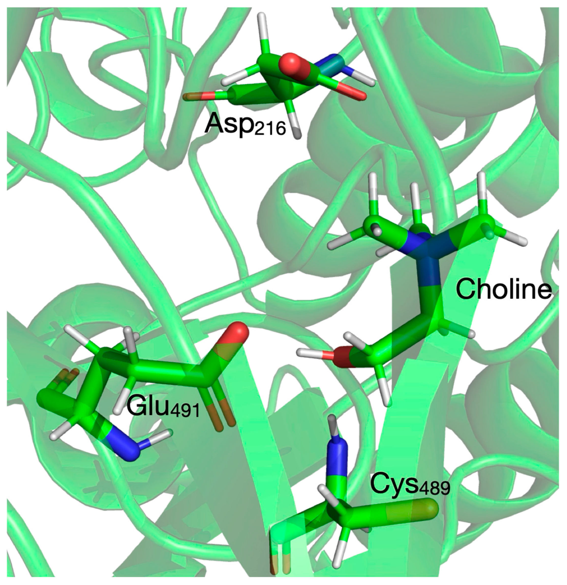 Biomolecules 16 00037 g001