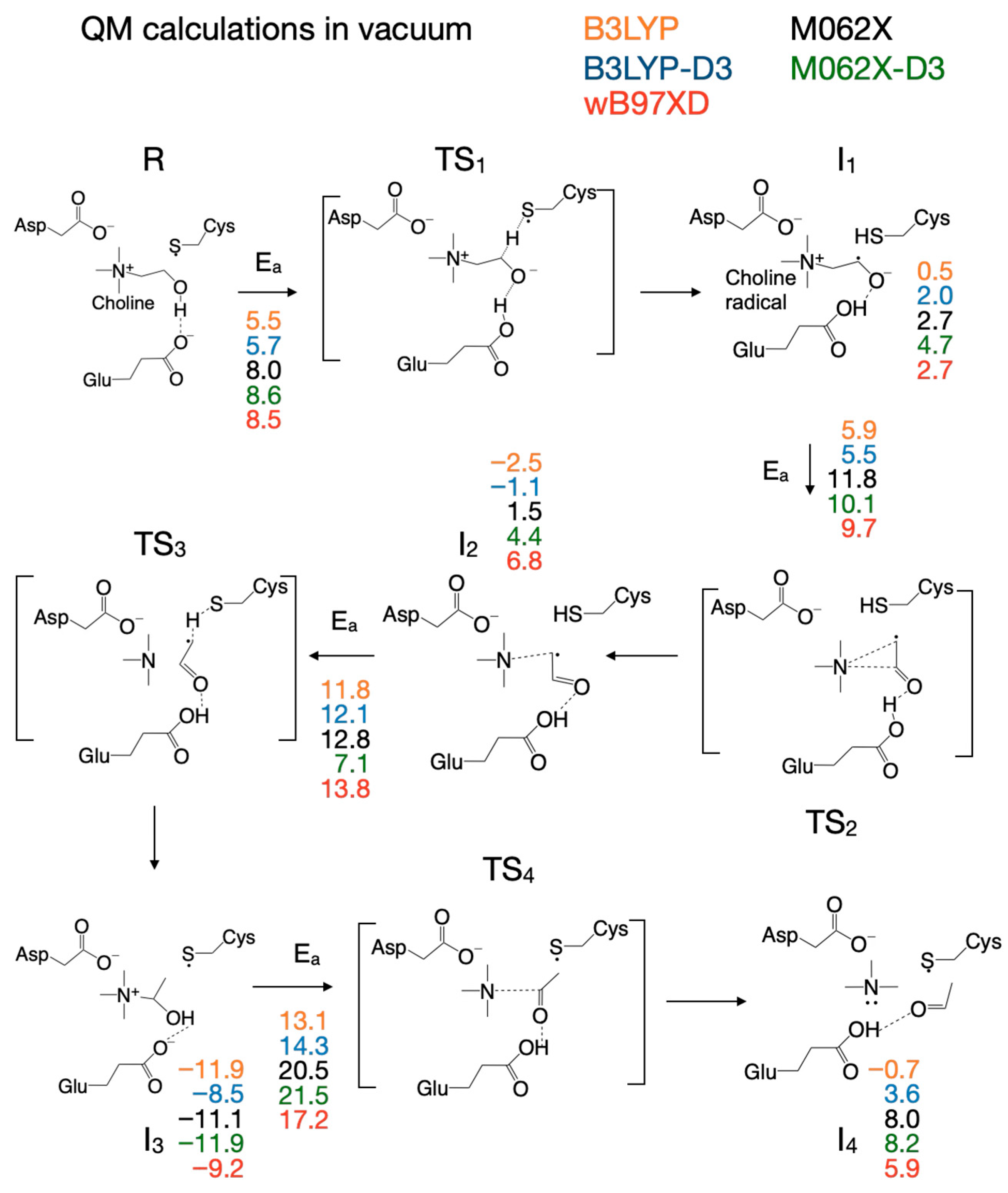 Biomolecules 16 00037 g002