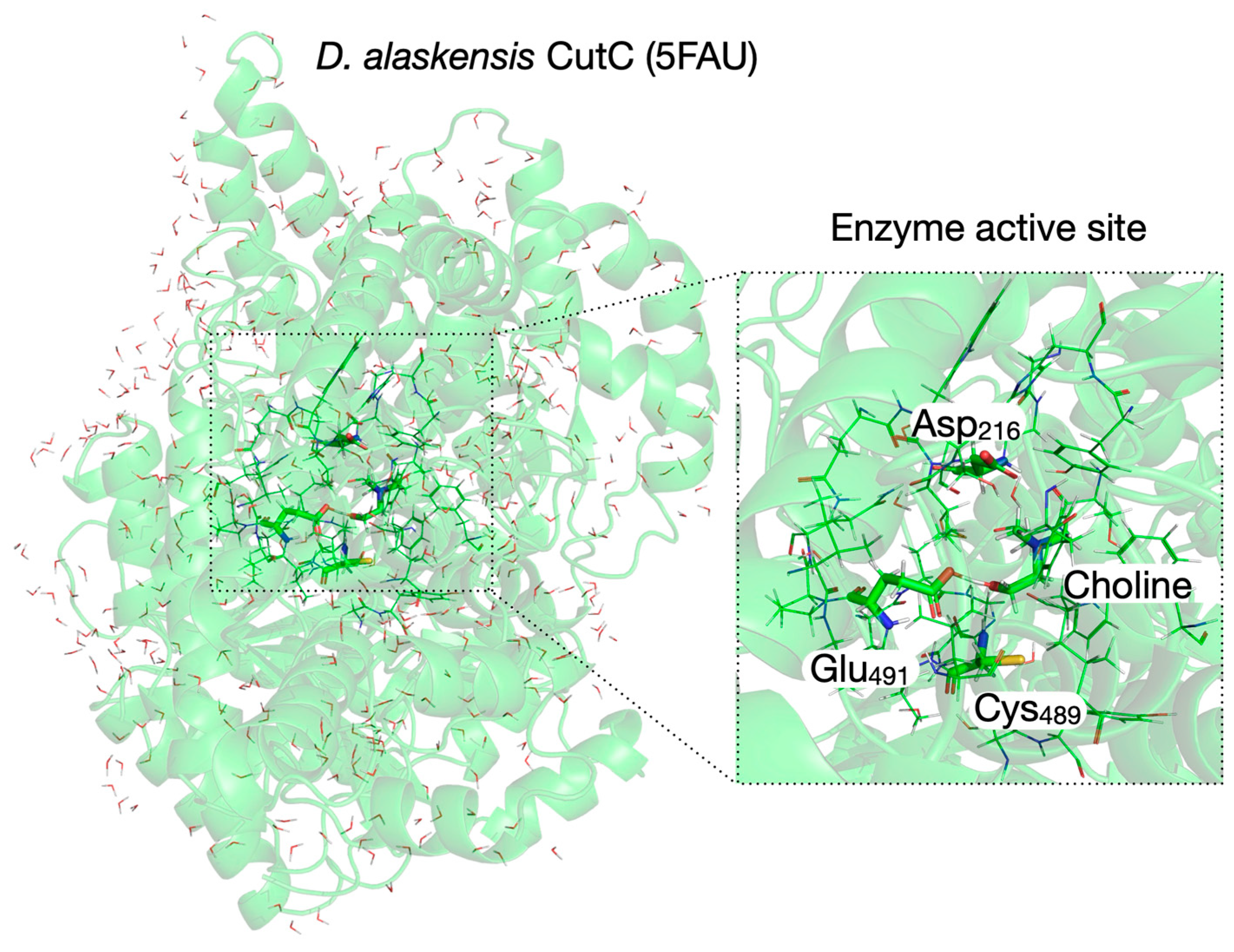Biomolecules 16 00037 g005