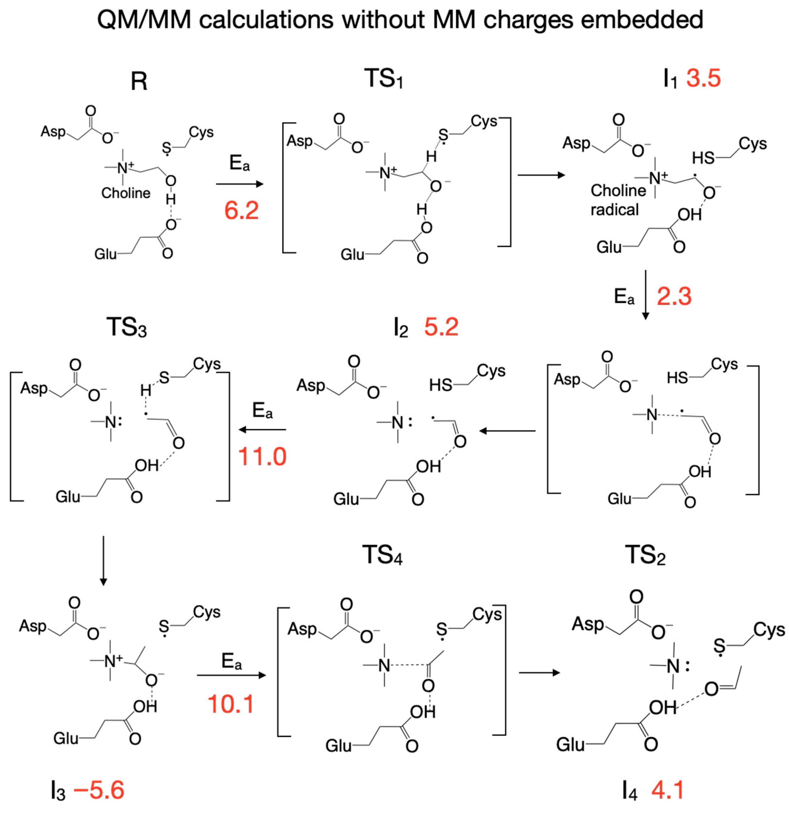 Biomolecules 16 00037 g006