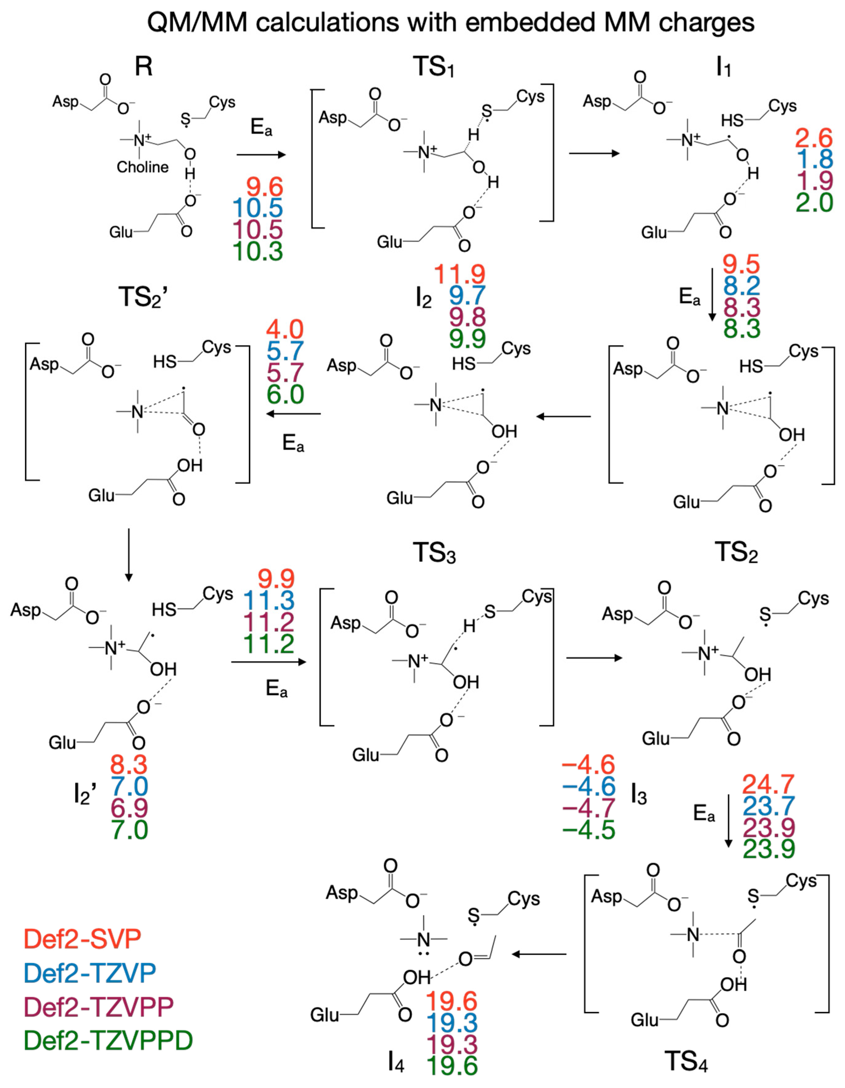 Biomolecules 16 00037 g007