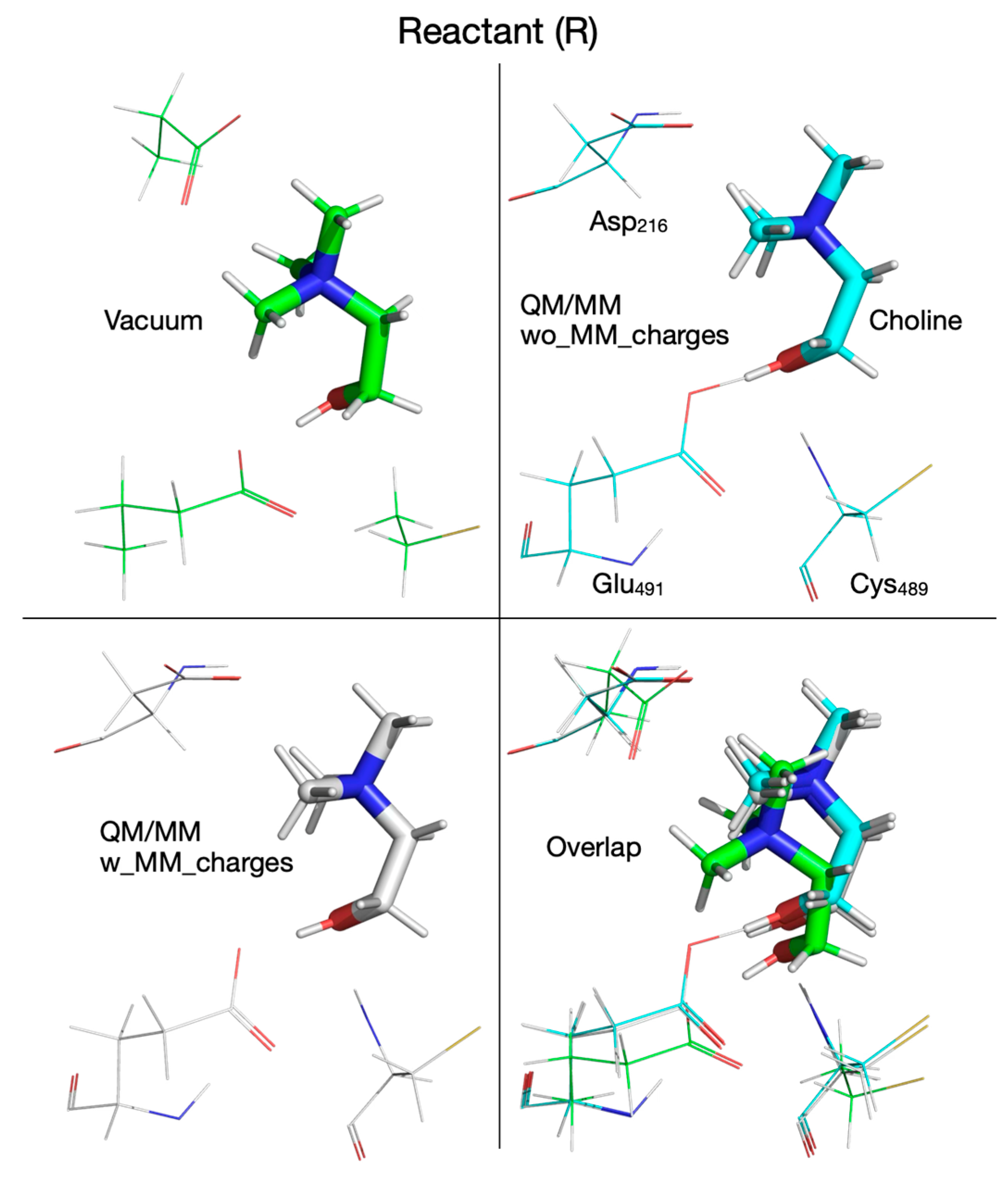 Biomolecules 16 00037 g008