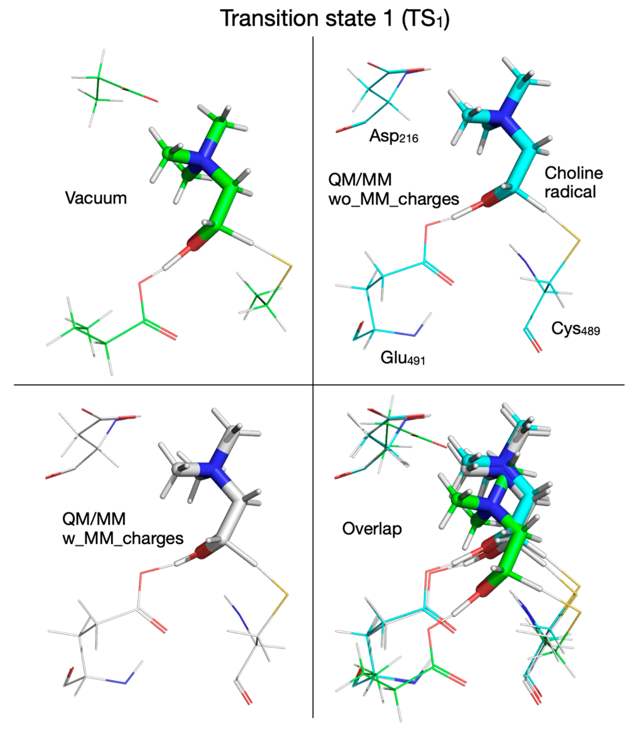 Biomolecules 16 00037 g009
