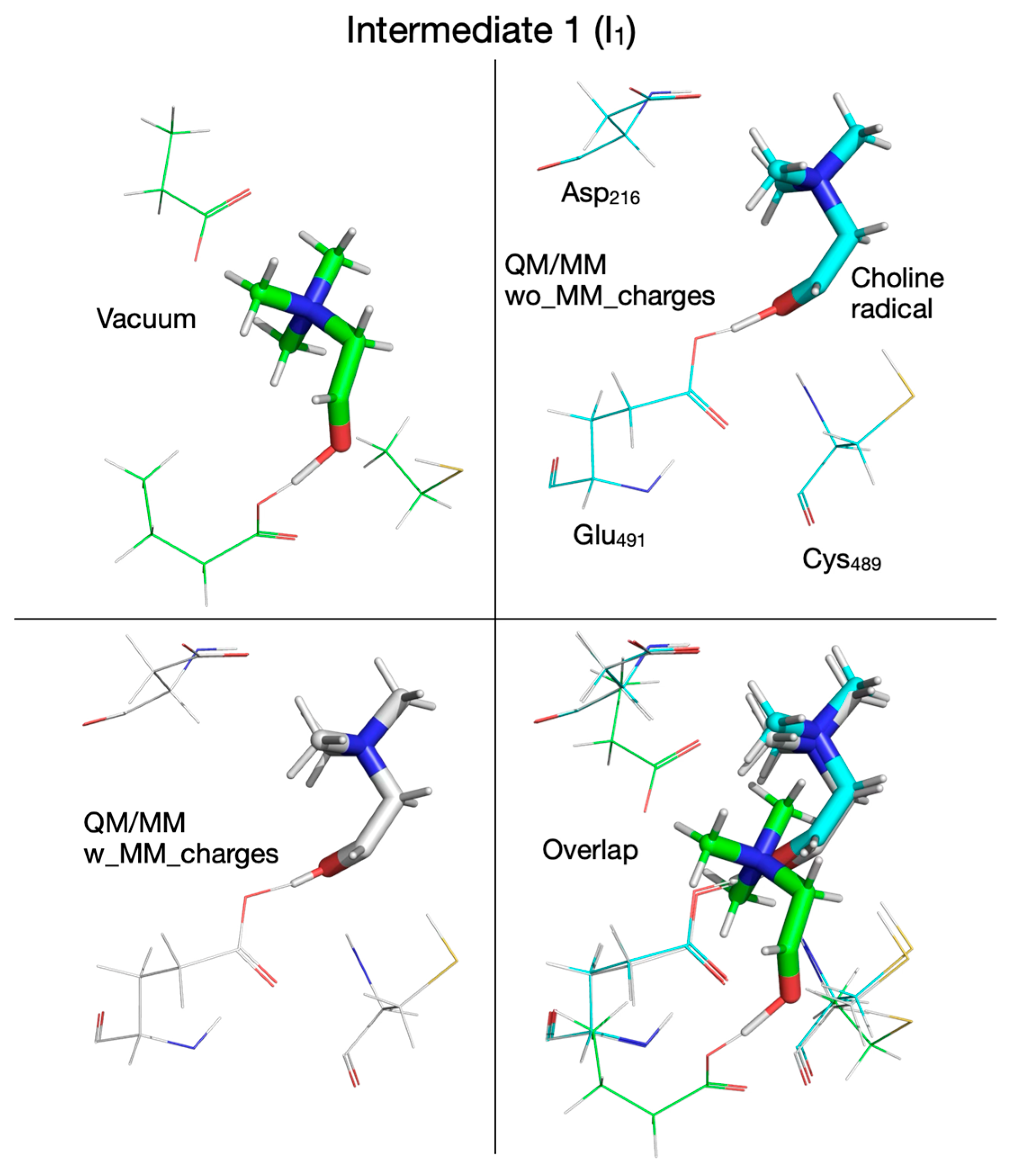 Biomolecules 16 00037 g010