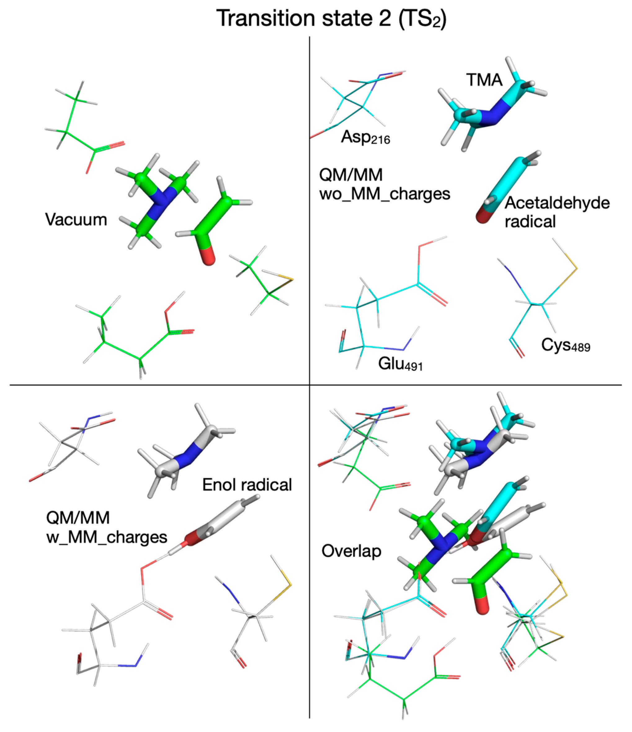 Biomolecules 16 00037 g011