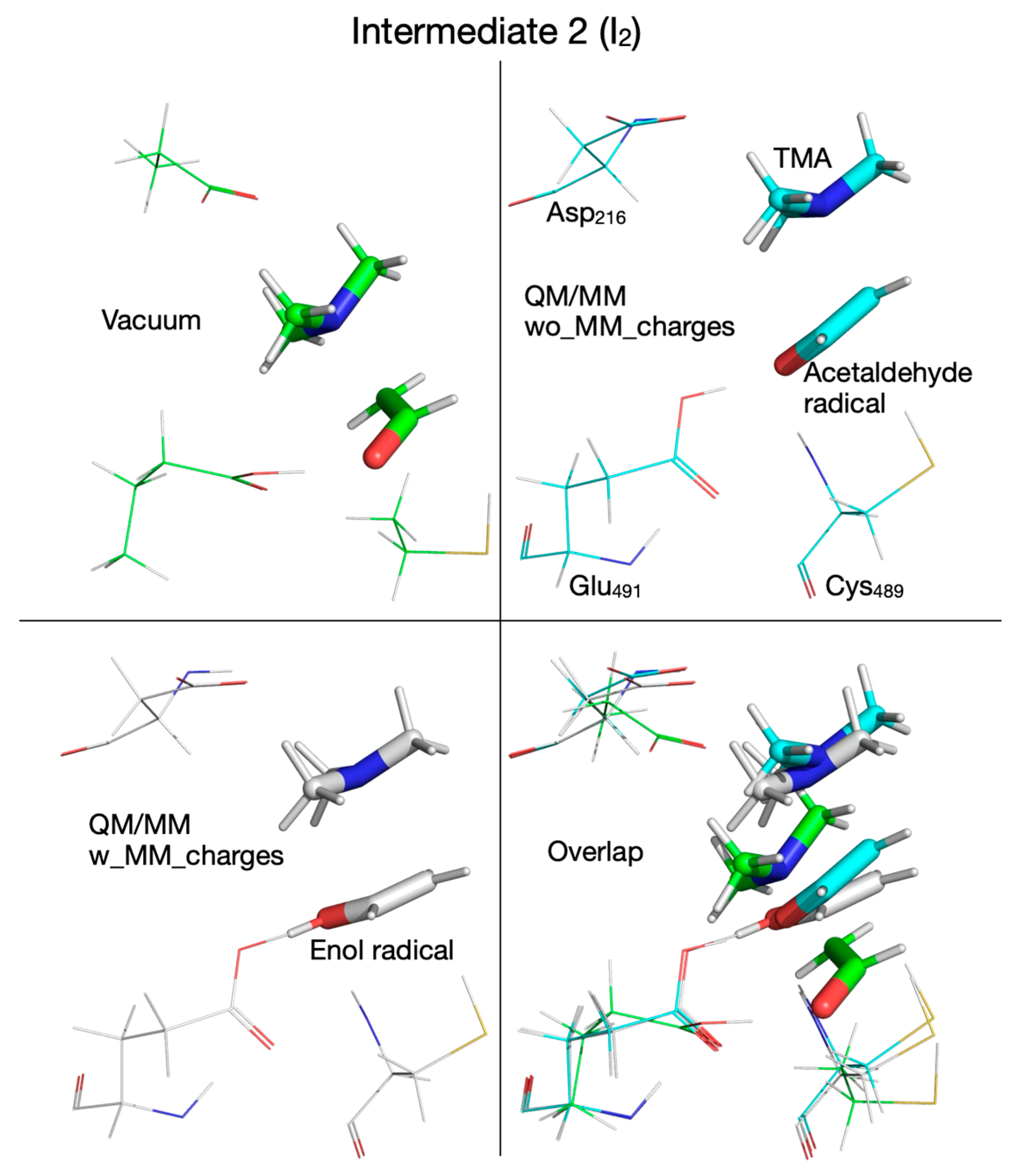 Biomolecules 16 00037 g012
