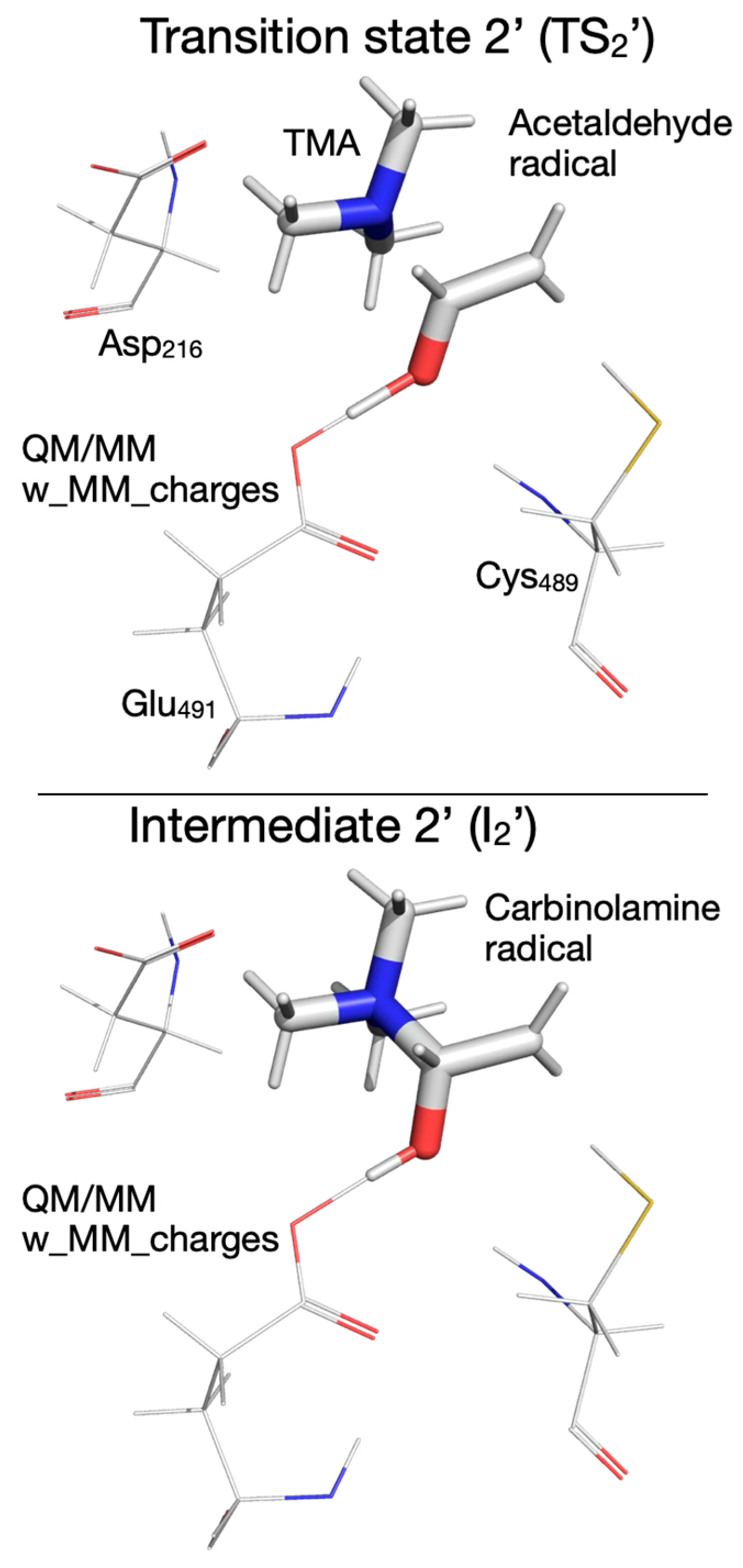 Biomolecules 16 00037 g013