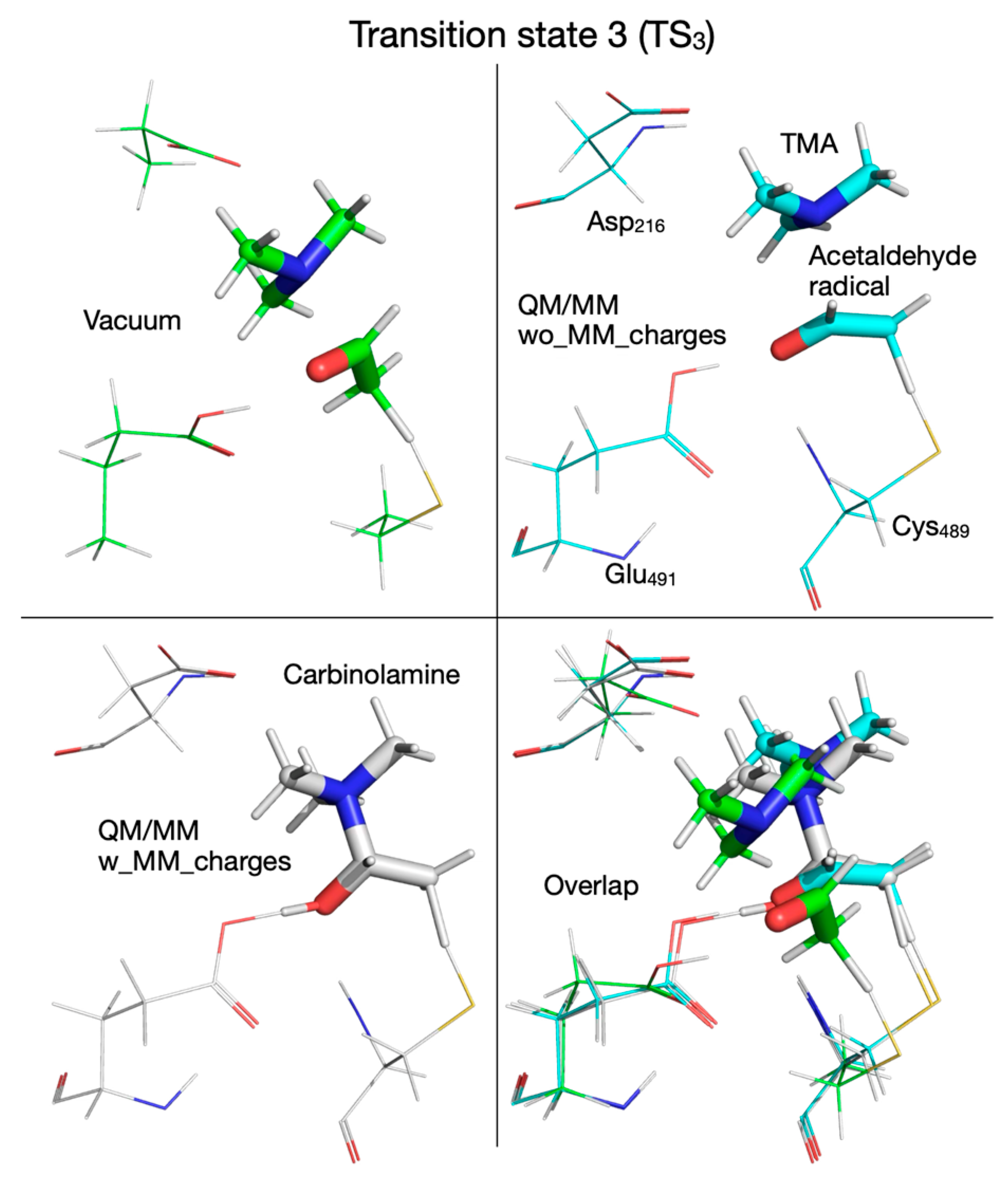Biomolecules 16 00037 g014