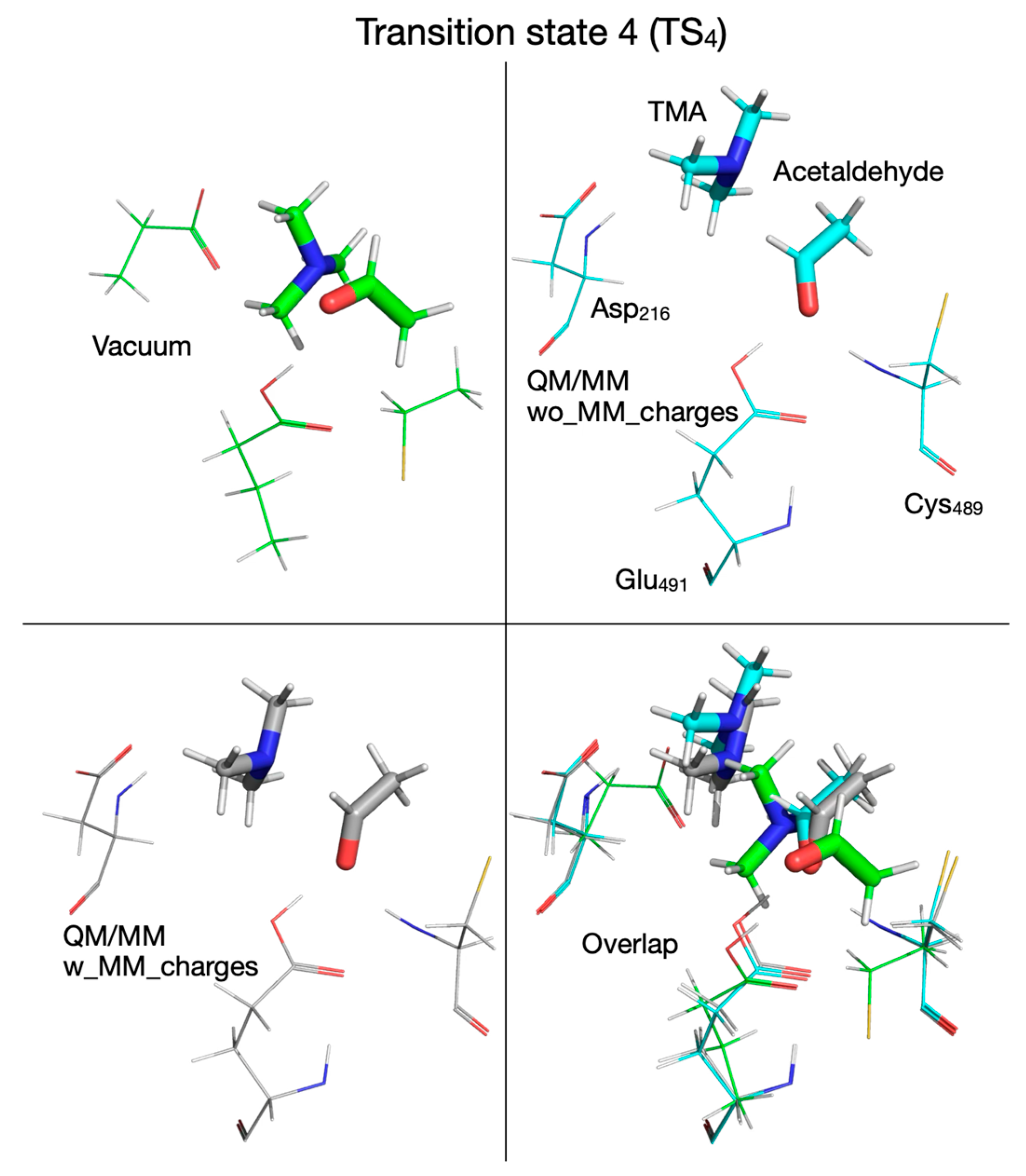 Biomolecules 16 00037 g016