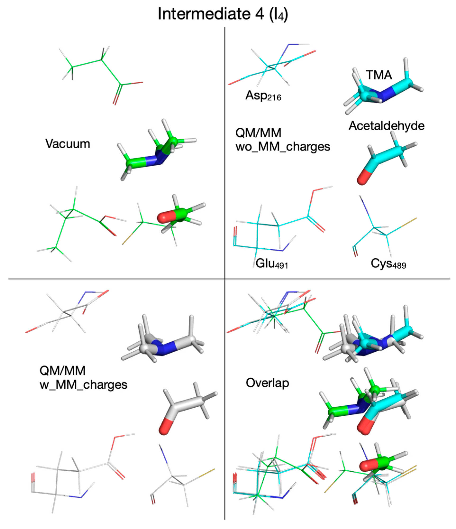 Biomolecules 16 00037 g017
