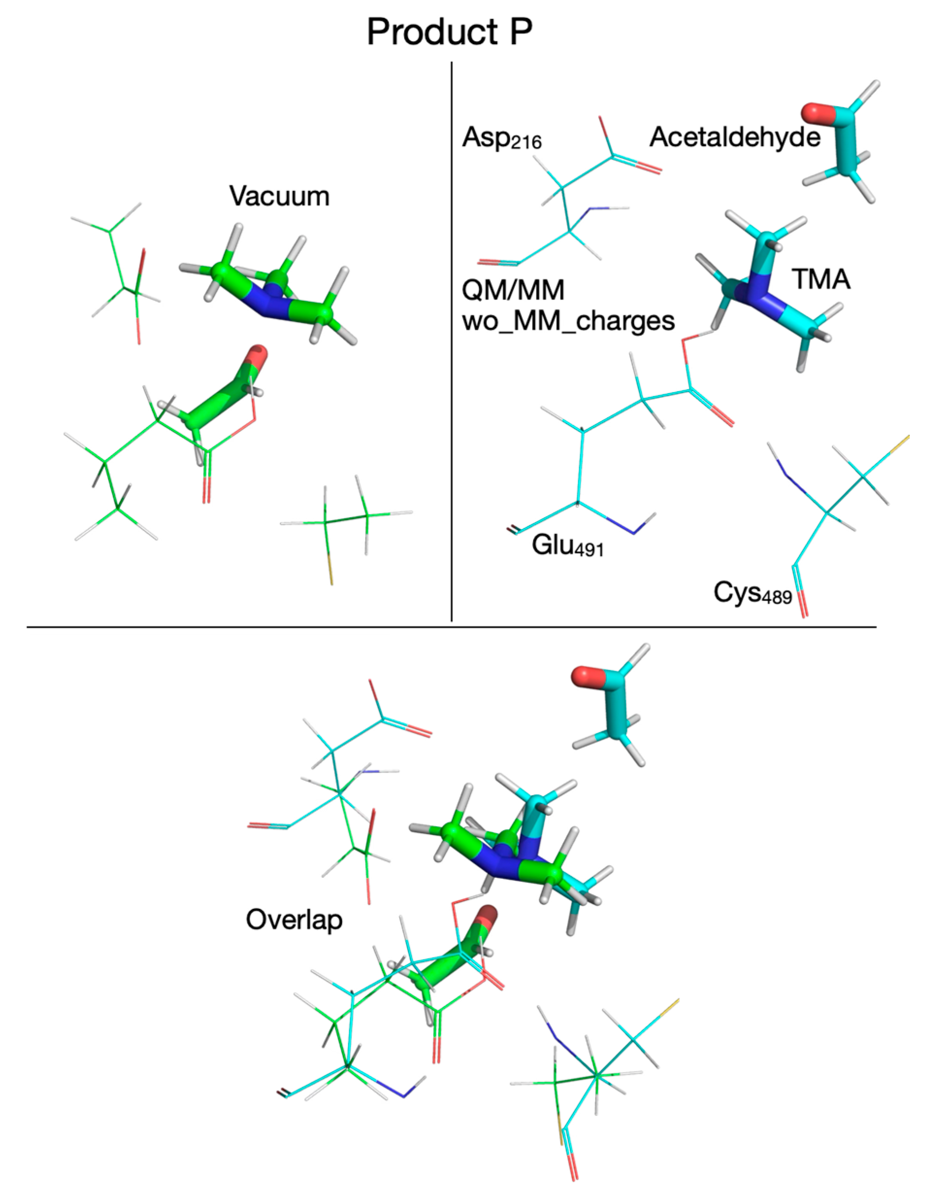 Biomolecules 16 00037 g018