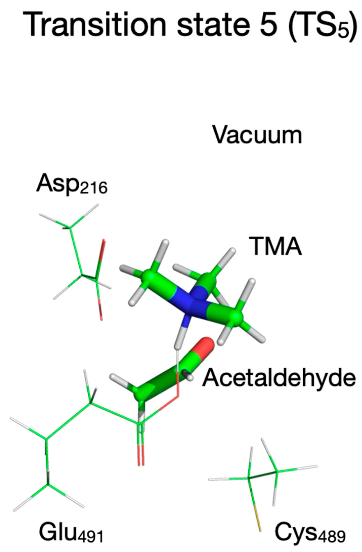 Biomolecules 16 00037 g019