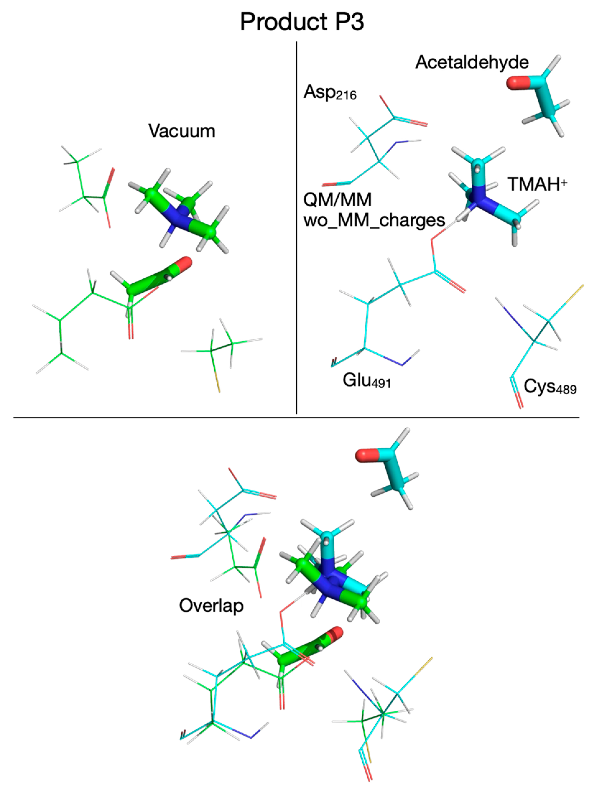 Biomolecules 16 00037 g020