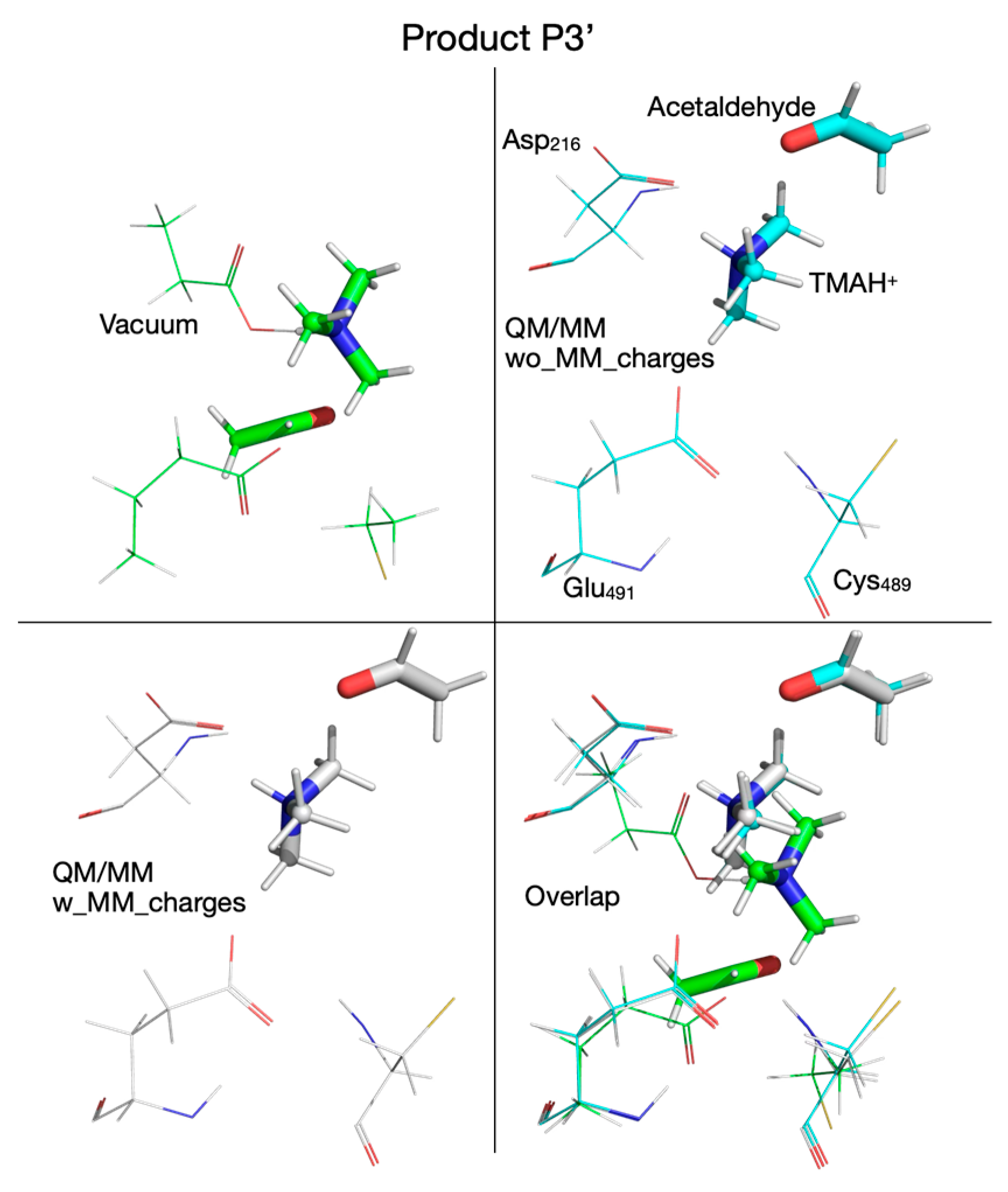 Biomolecules 16 00037 g022