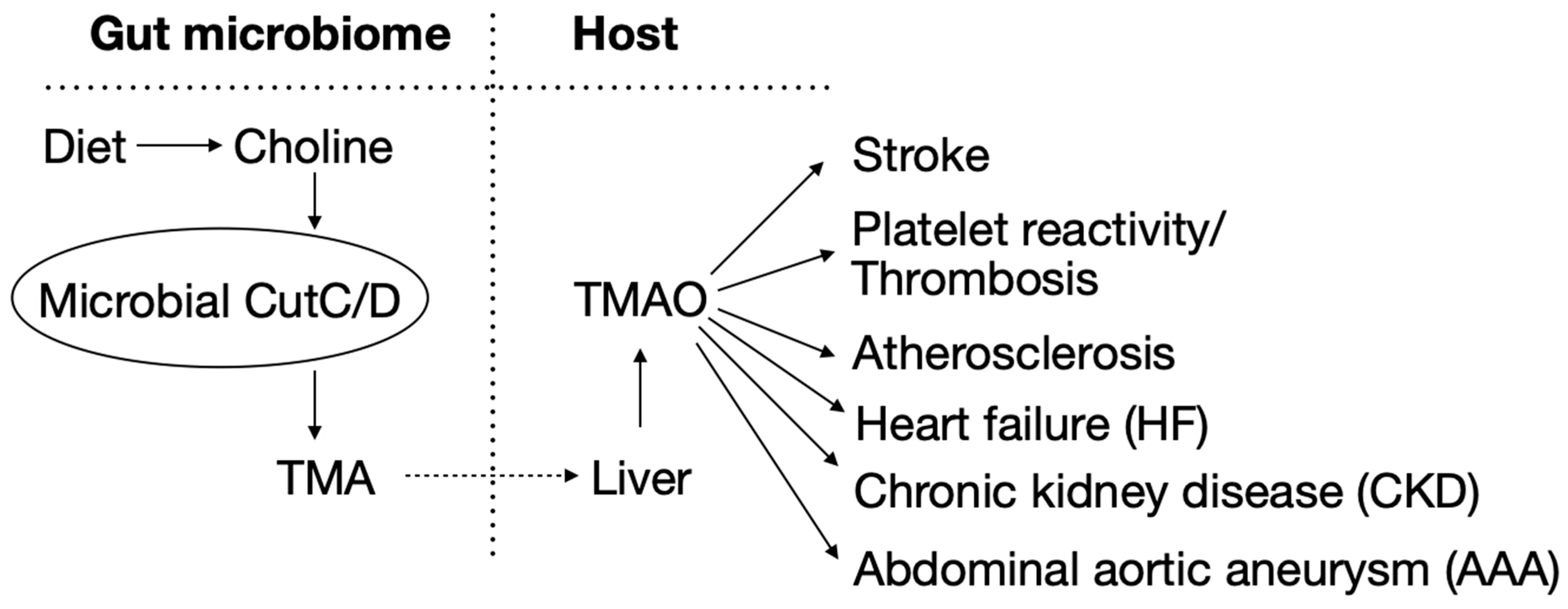 Biomolecules 16 00037 sch001