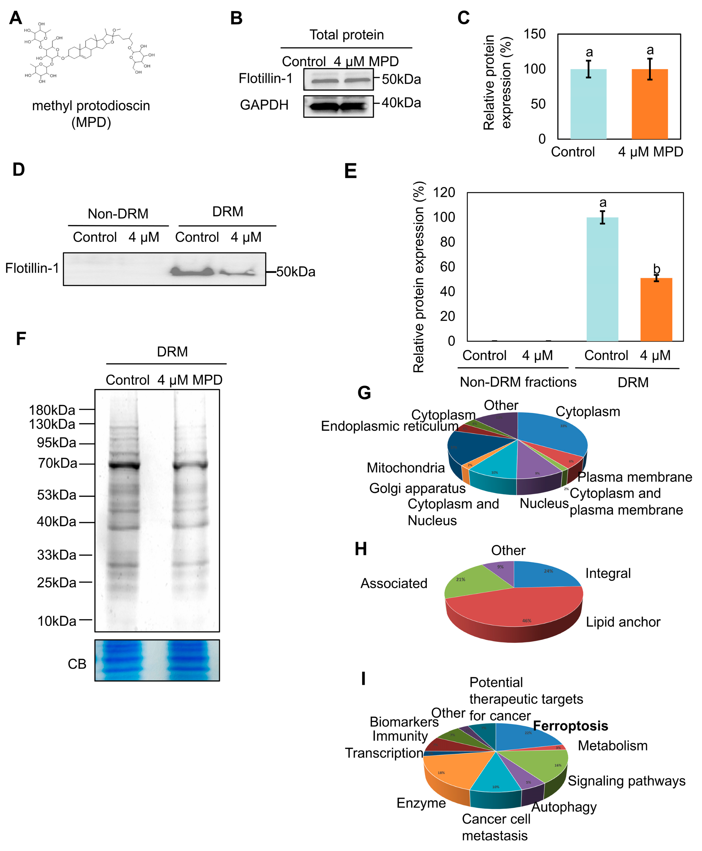 Biomolecules 16 00038 g001