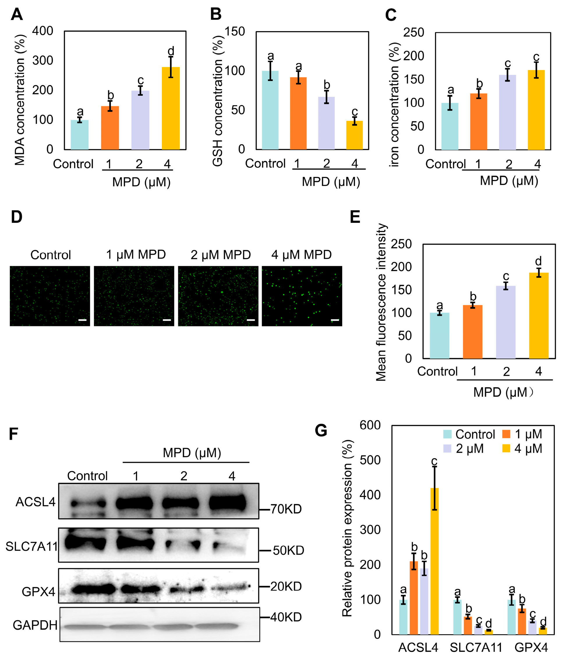 Biomolecules 16 00038 g002