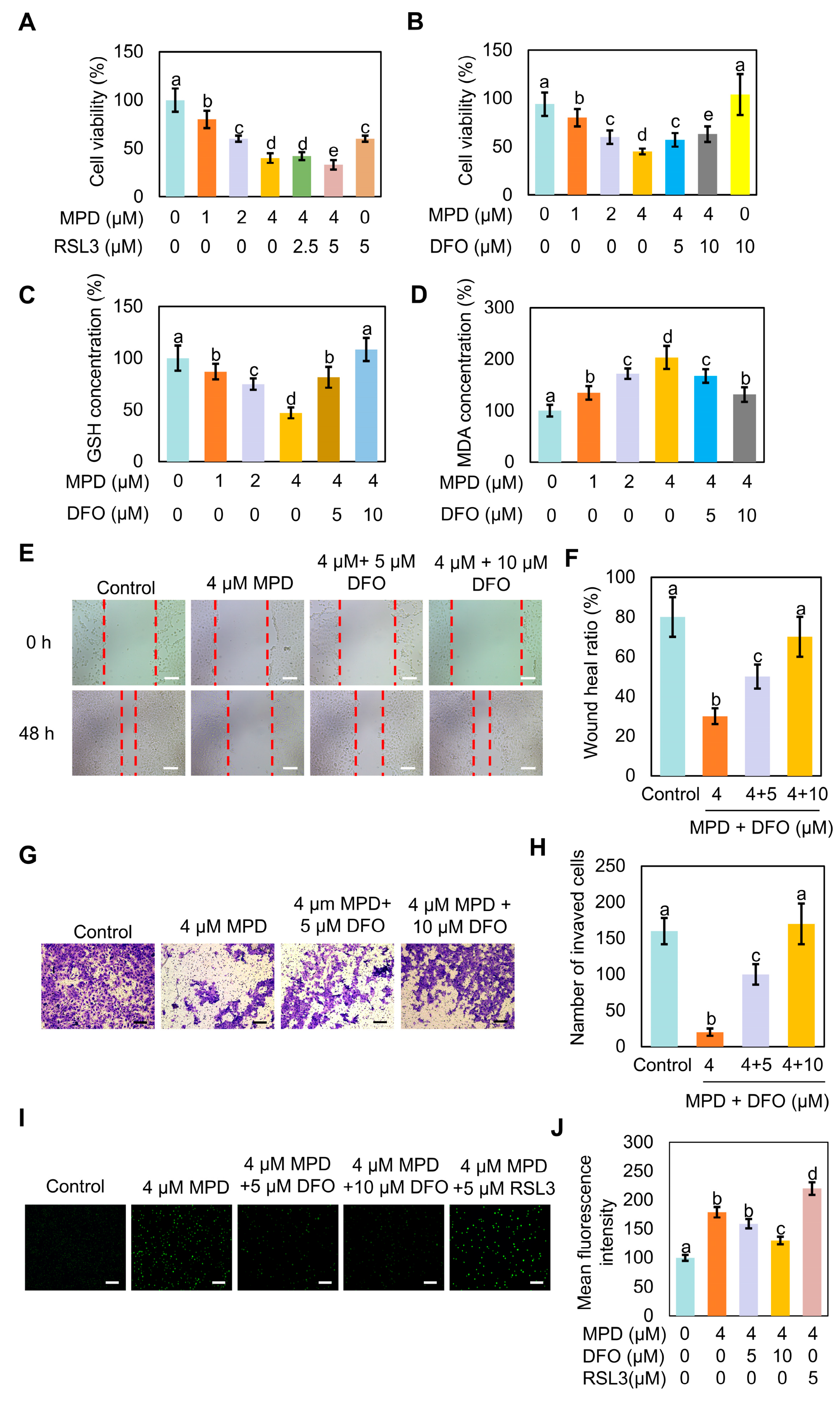 Biomolecules 16 00038 g003
