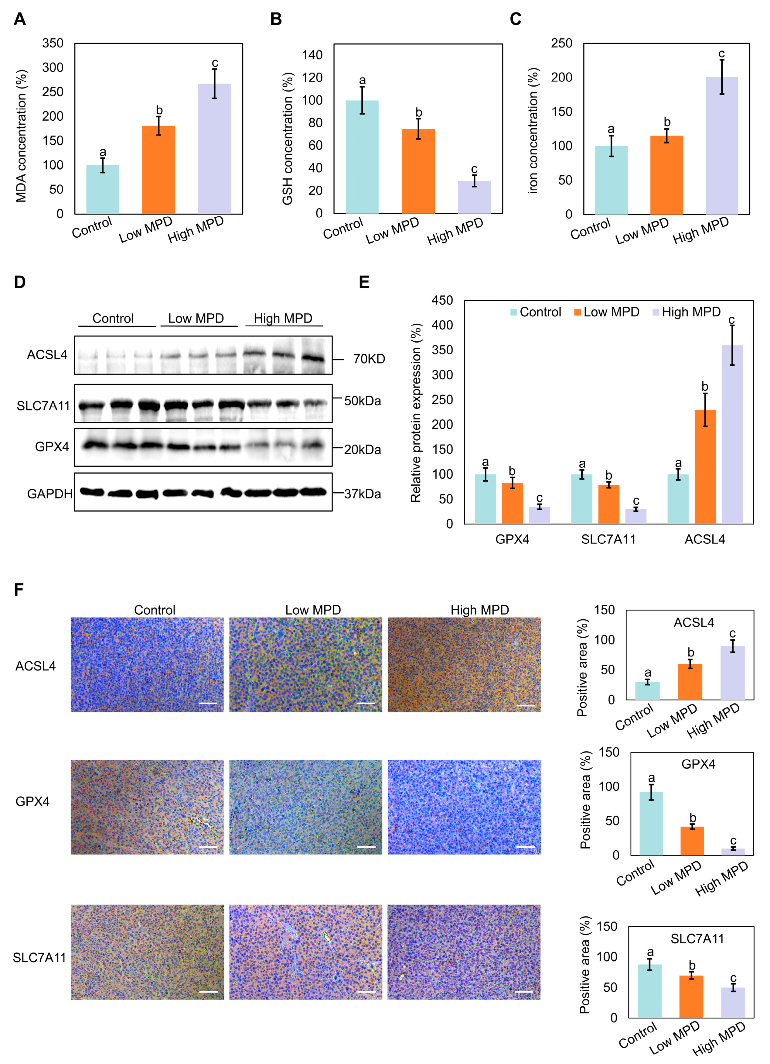 Biomolecules 16 00038 g004