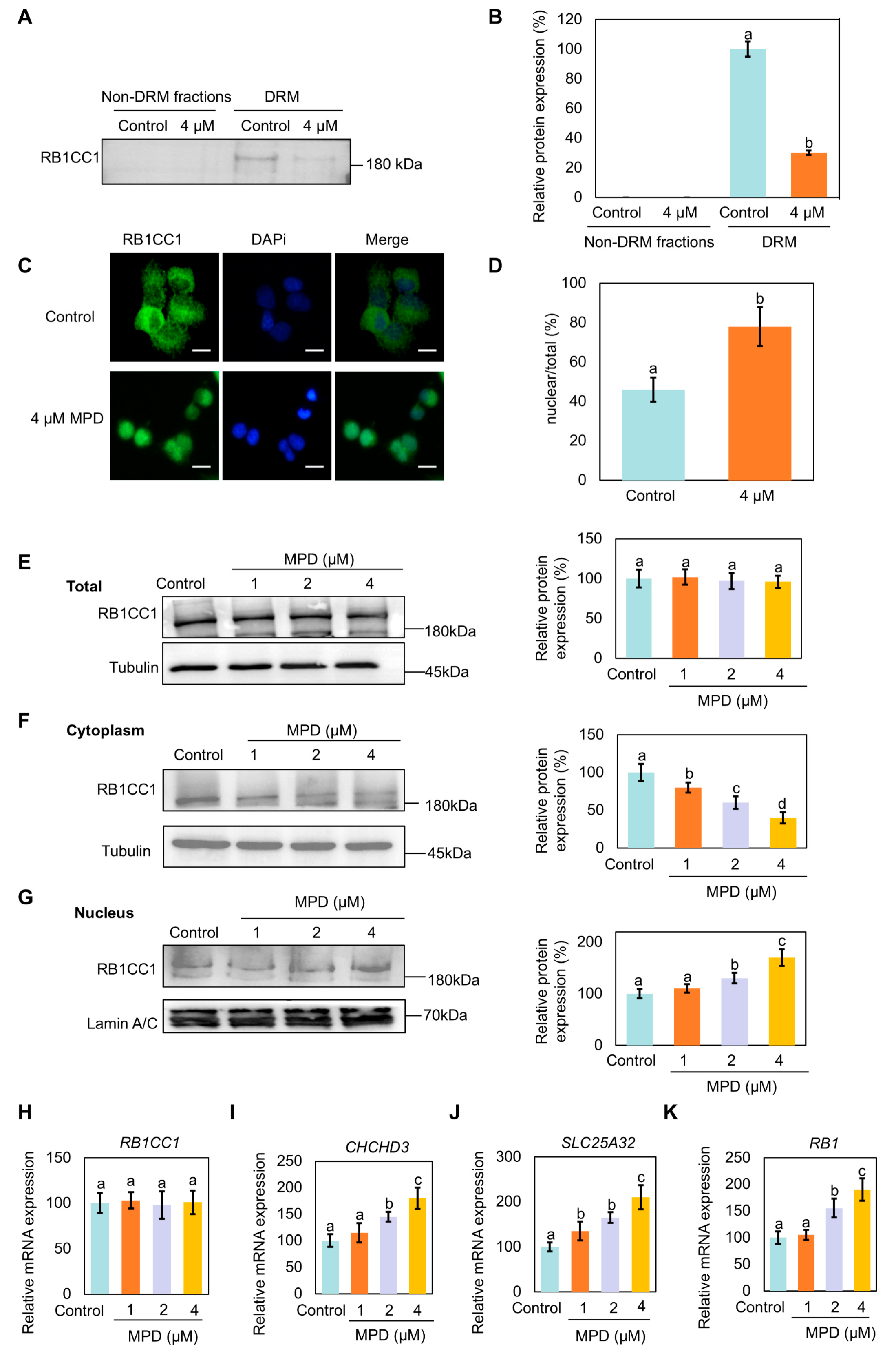 Biomolecules 16 00038 g005