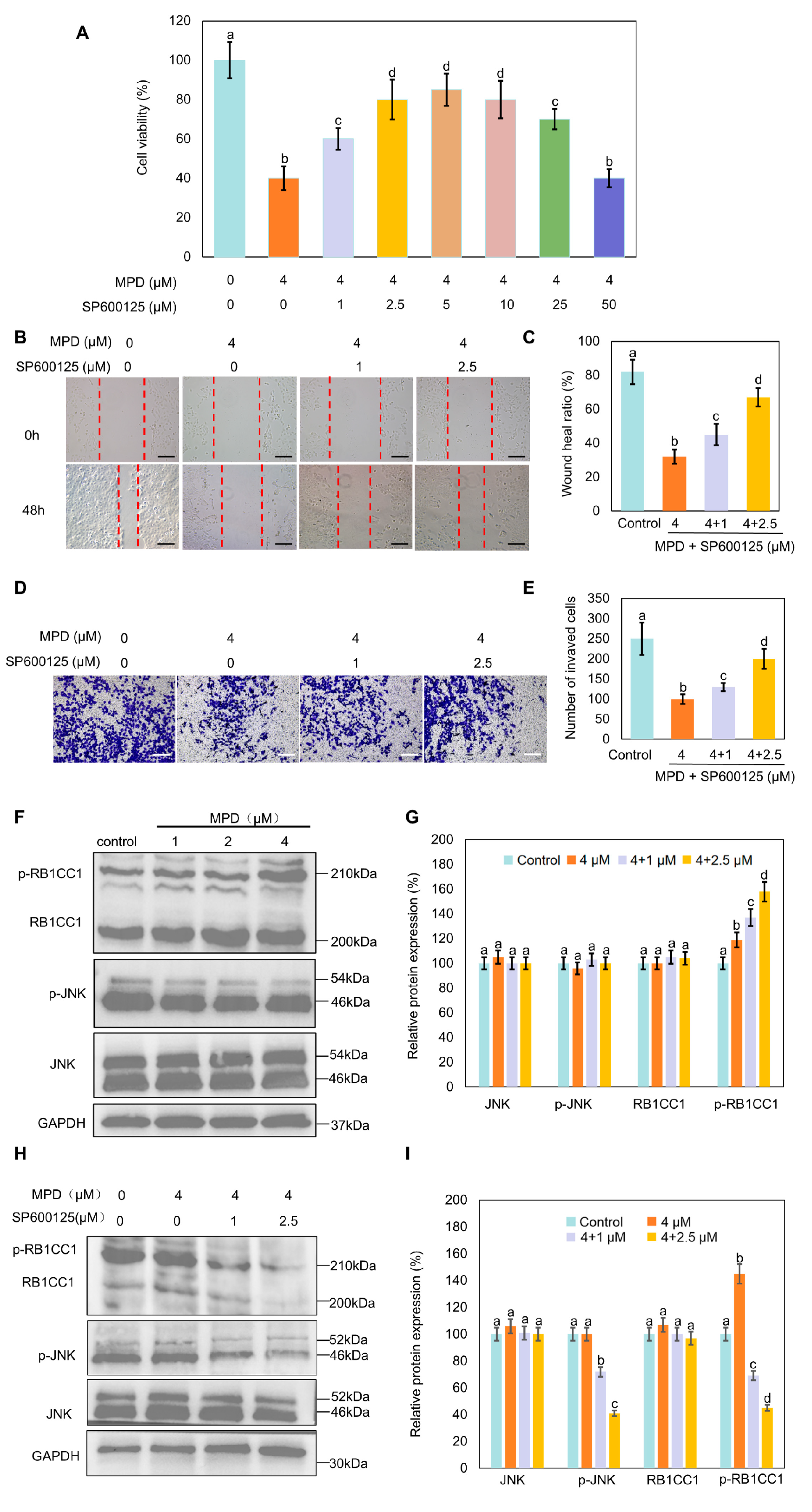 Biomolecules 16 00038 g006