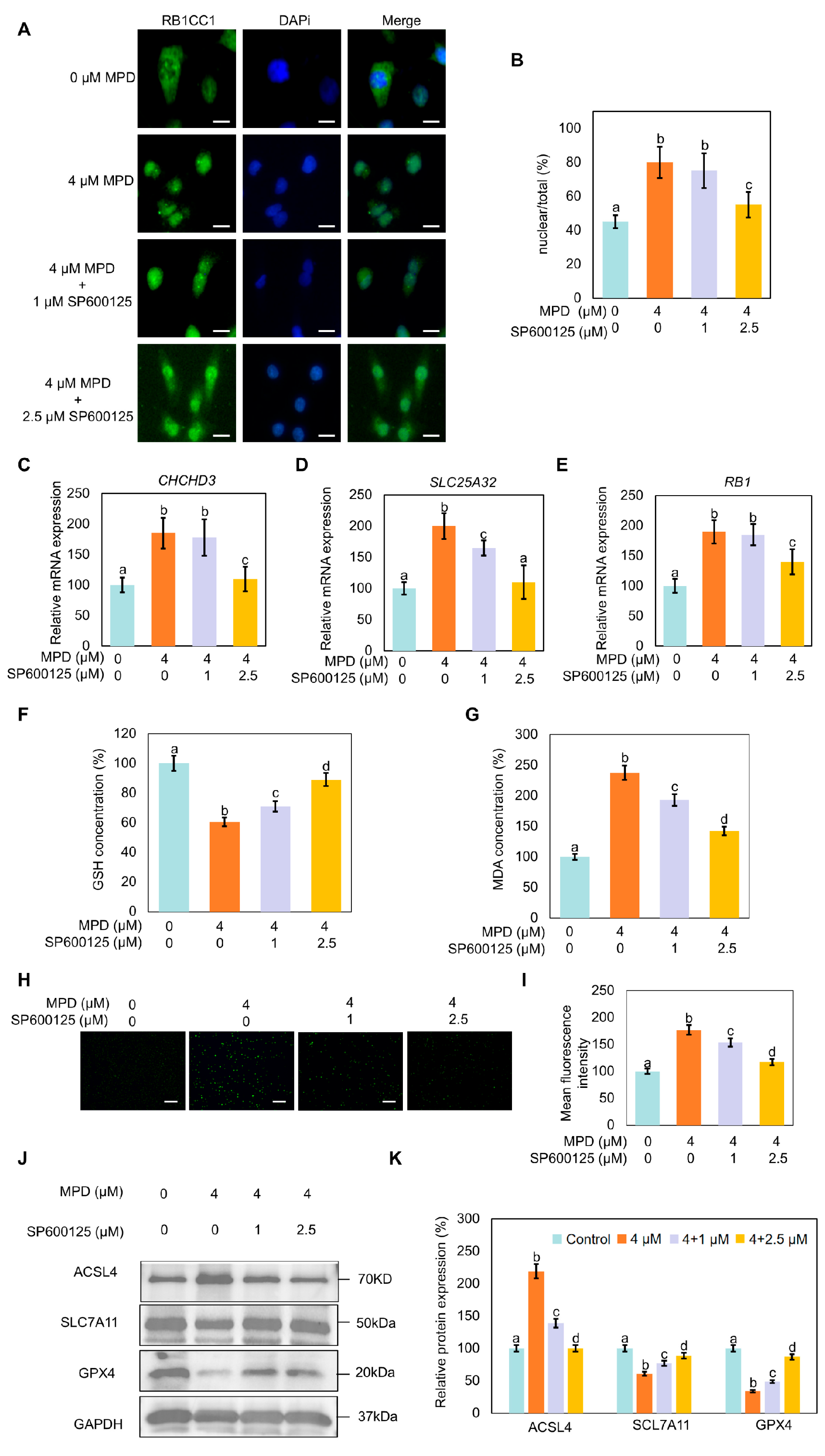 Biomolecules 16 00038 g007