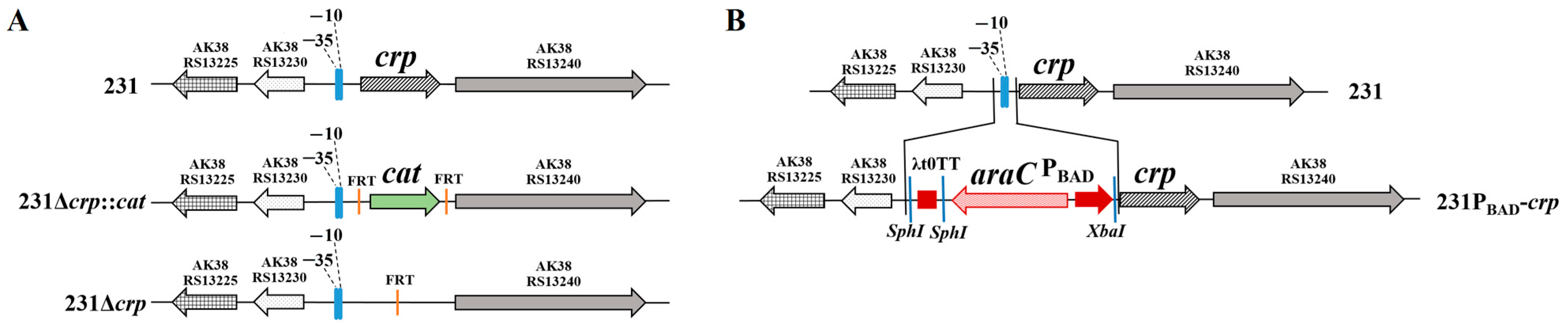 Biomolecules 16 00040 g001