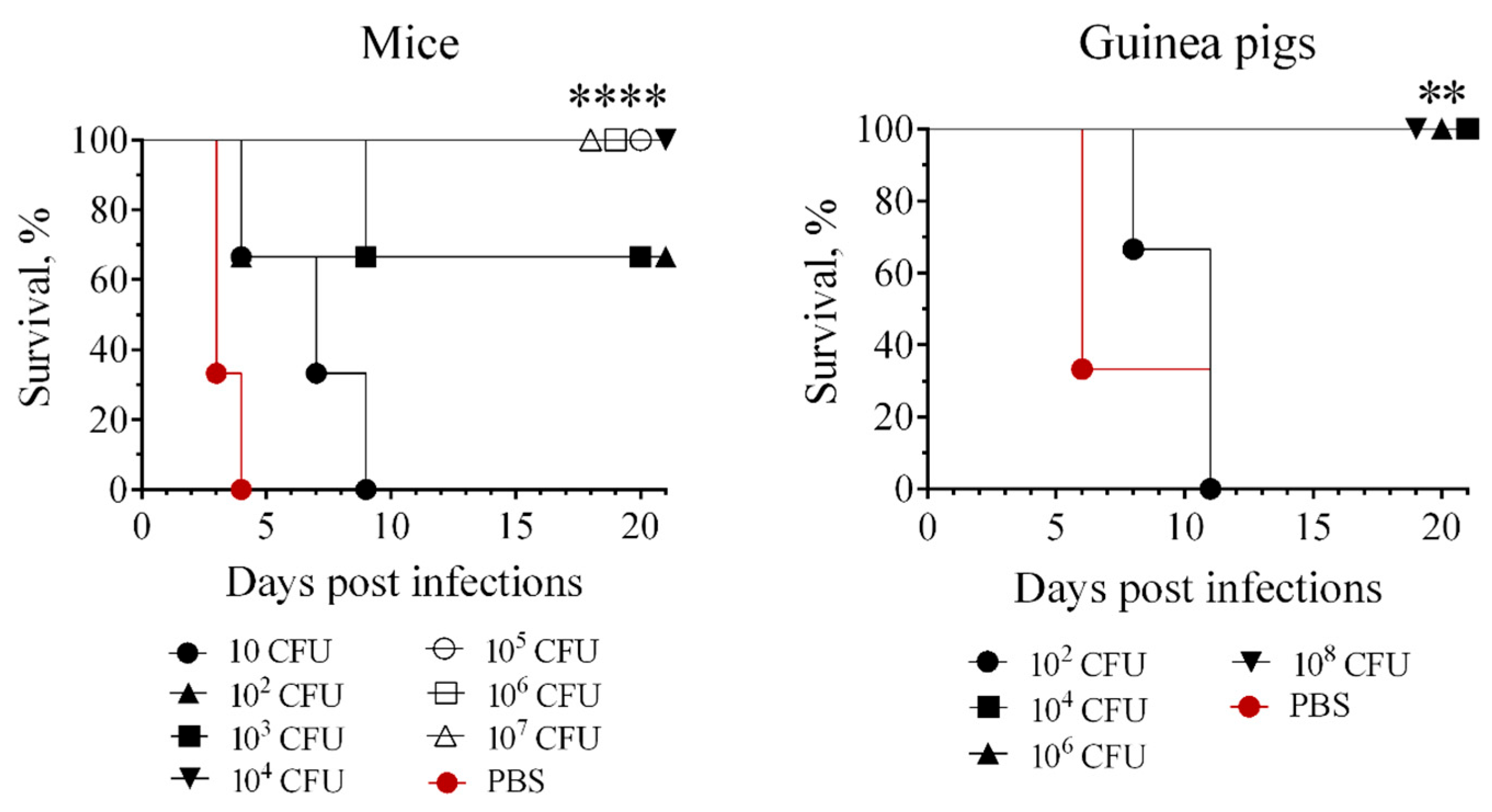 Biomolecules 16 00040 g007