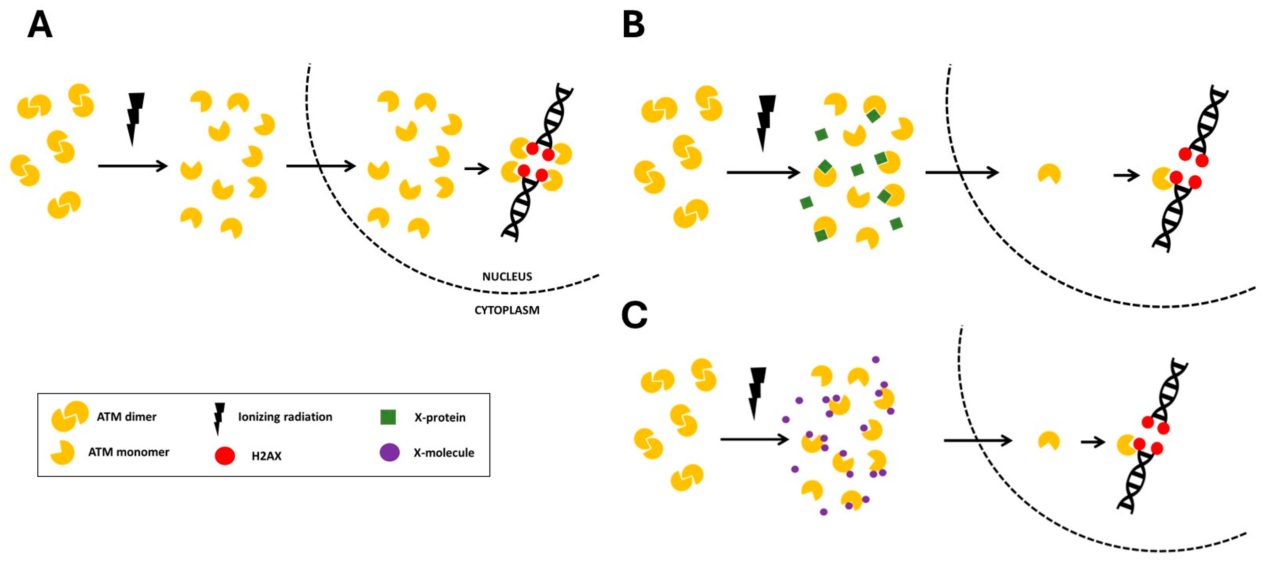 Biomolecules 16 00041 g001