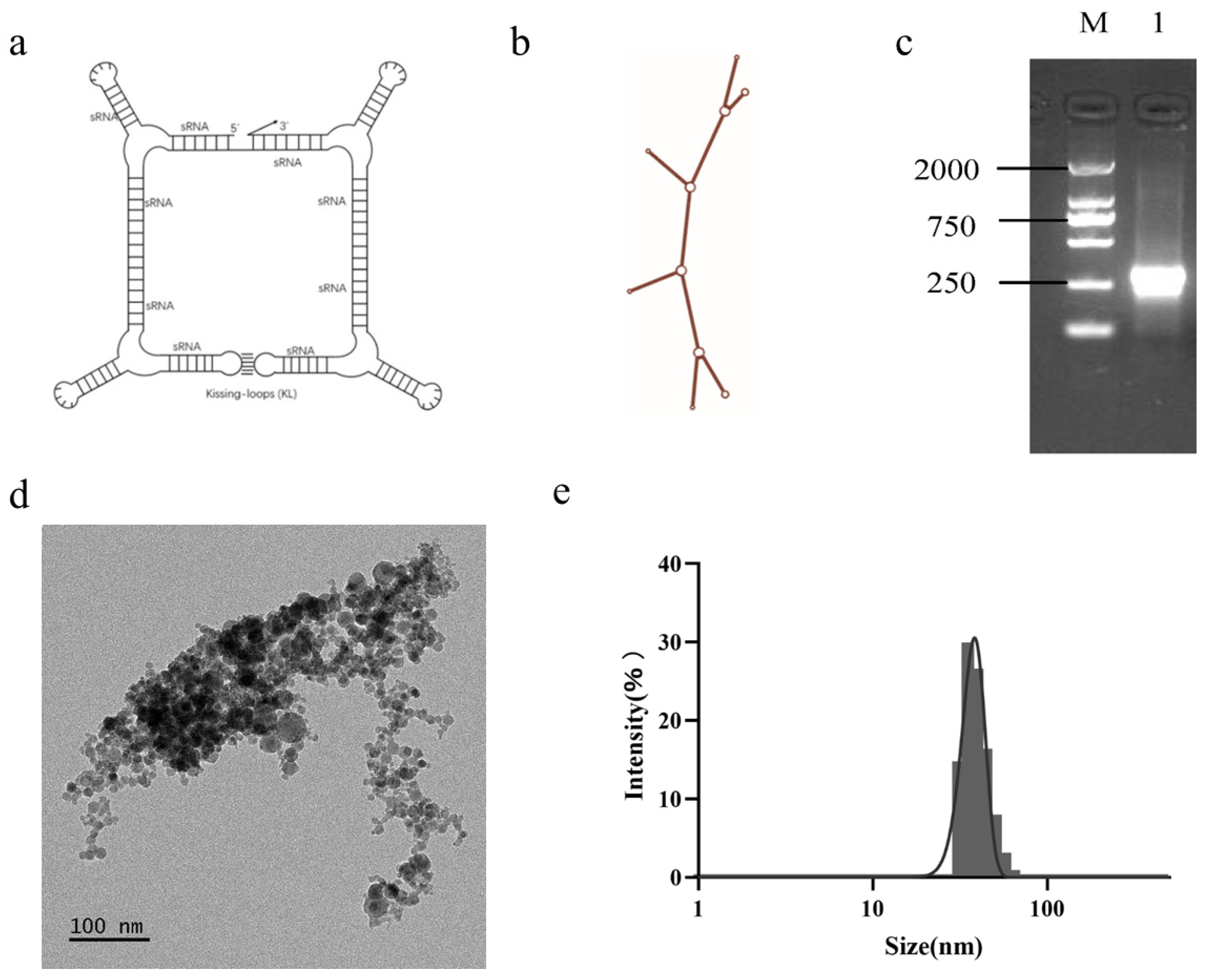Biomolecules 16 00045 g001