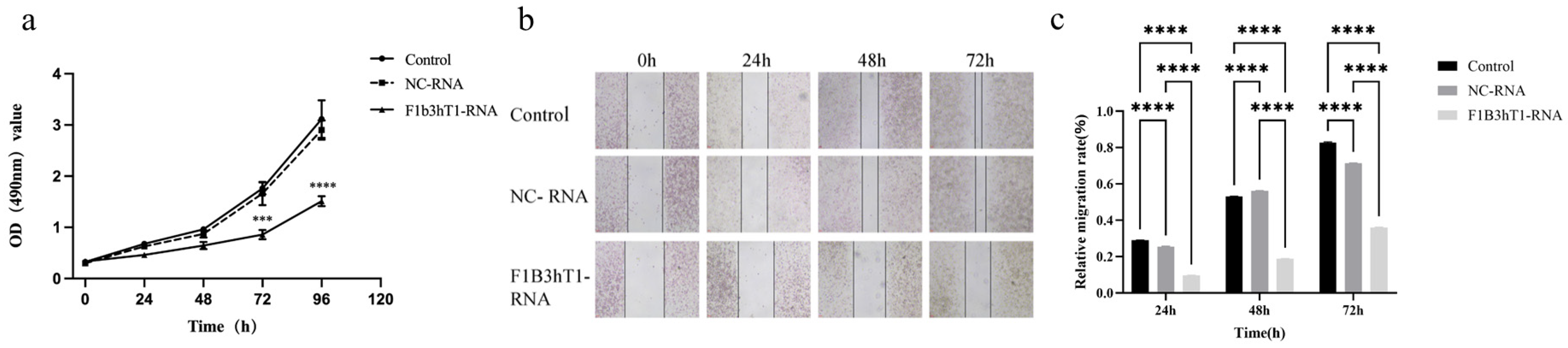Biomolecules 16 00045 g003