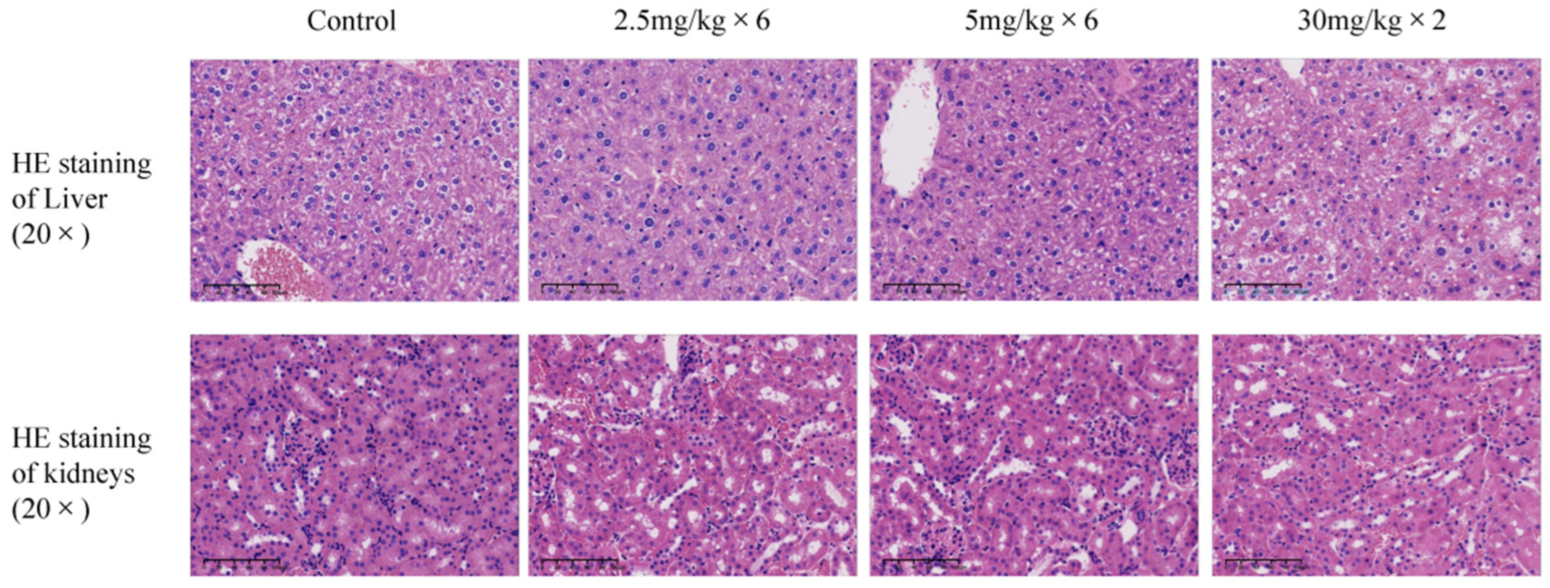 Biomolecules 16 00045 g007