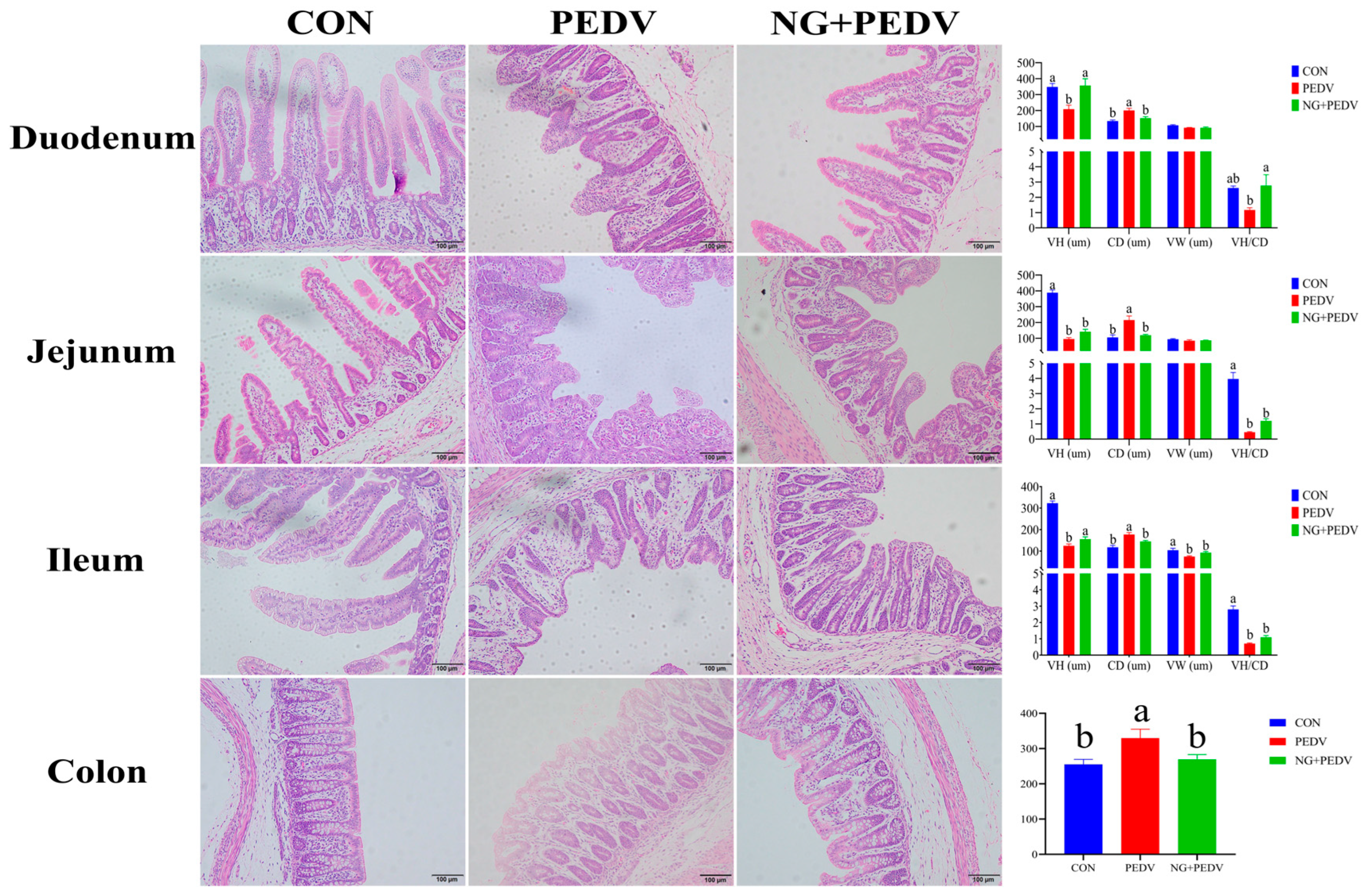 Biomolecules 16 00048 g001