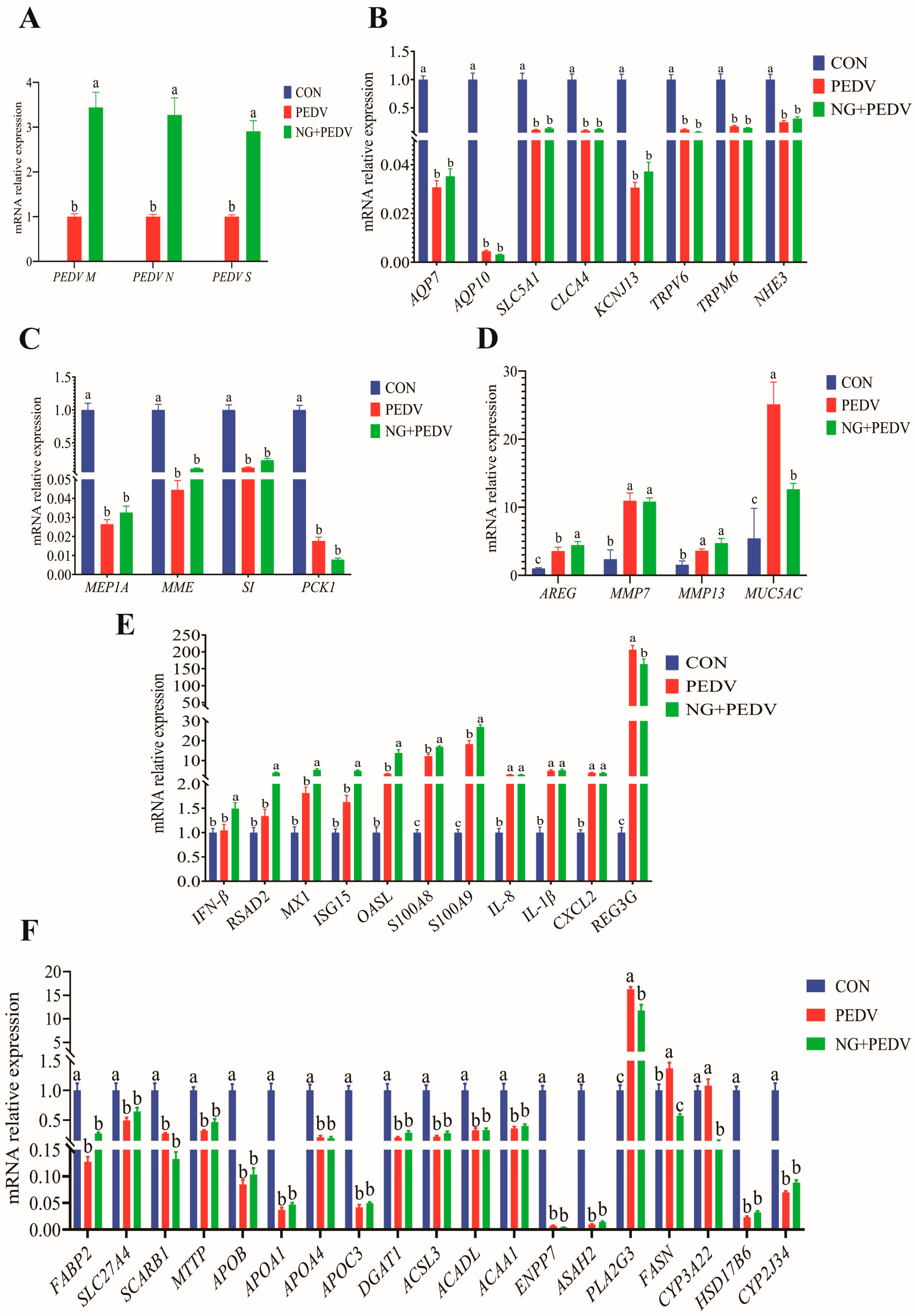 Biomolecules 16 00048 g004