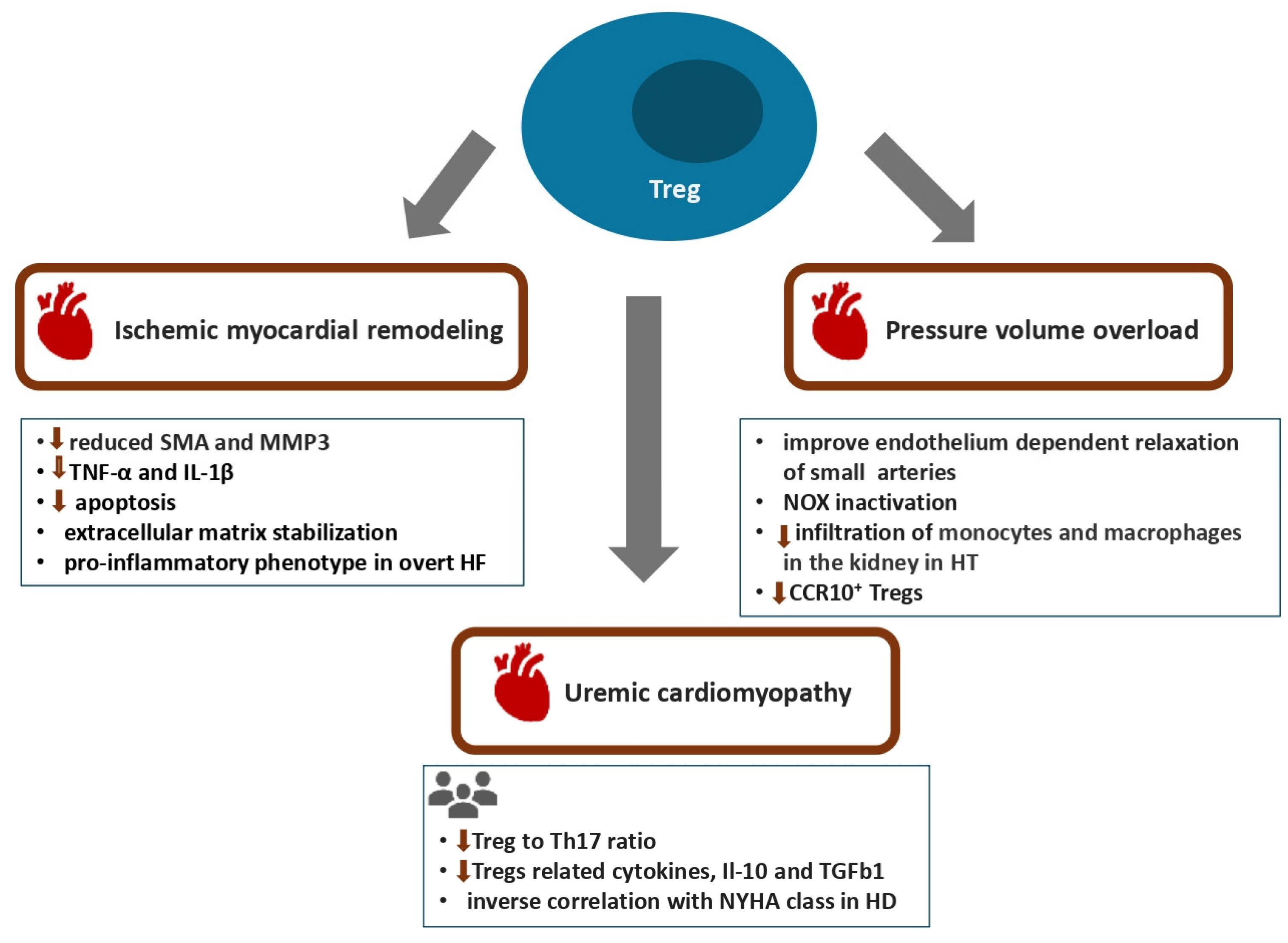 Biomolecules 16 00049 g002