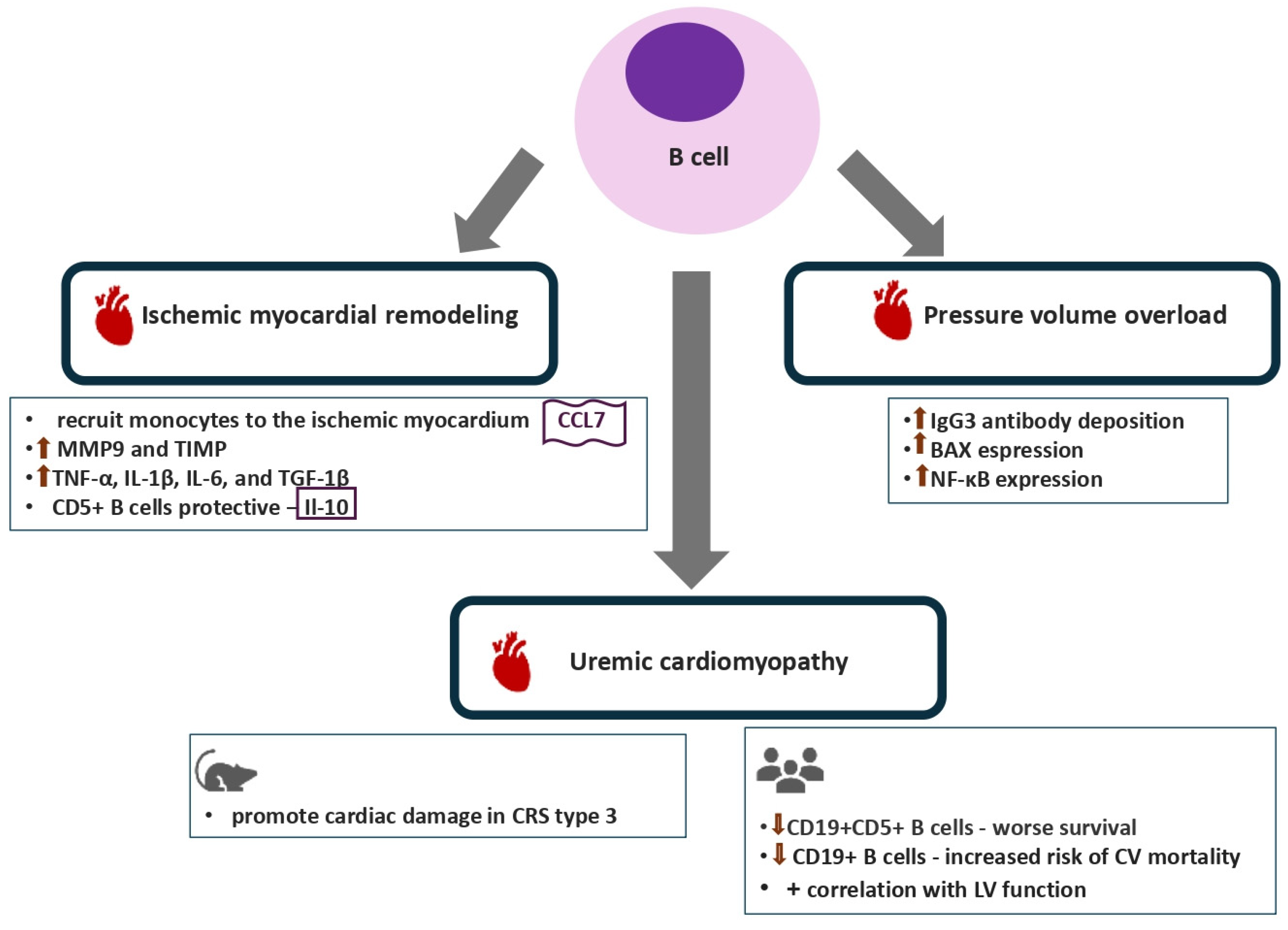 Biomolecules 16 00049 g003