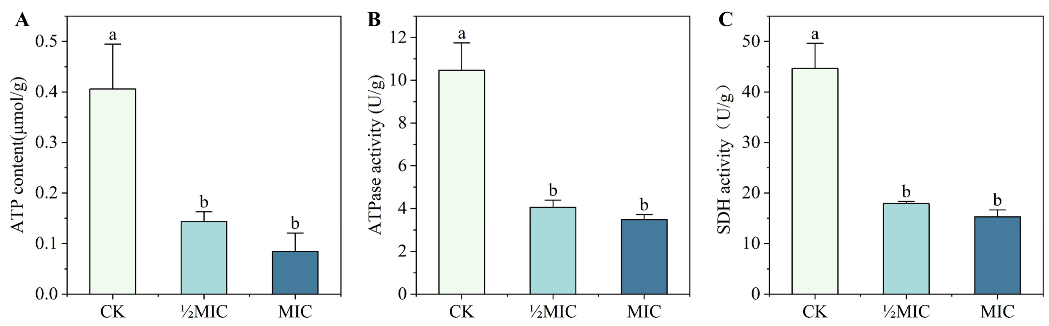 Biomolecules 16 00051 g007