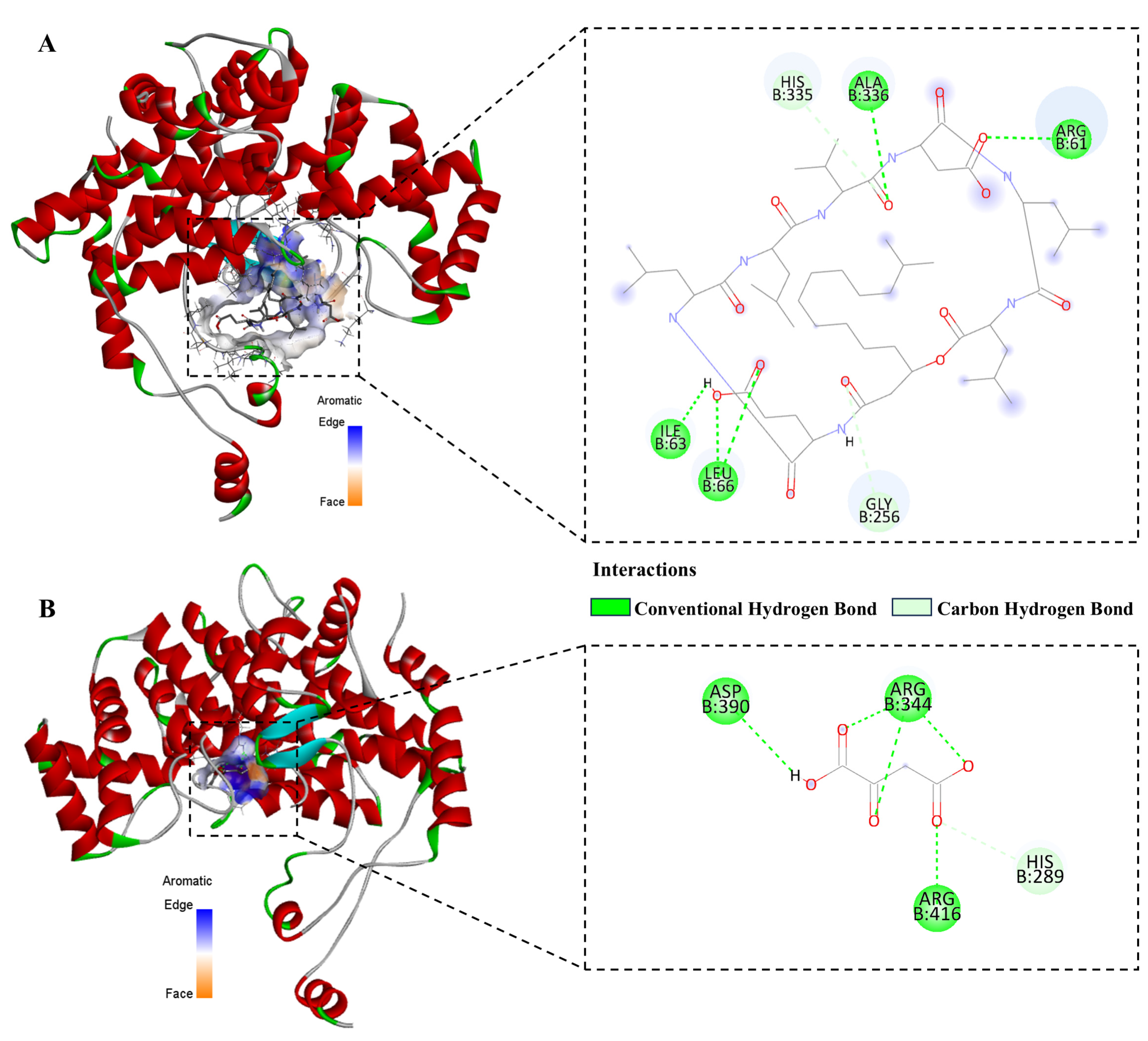 Biomolecules 16 00051 g010