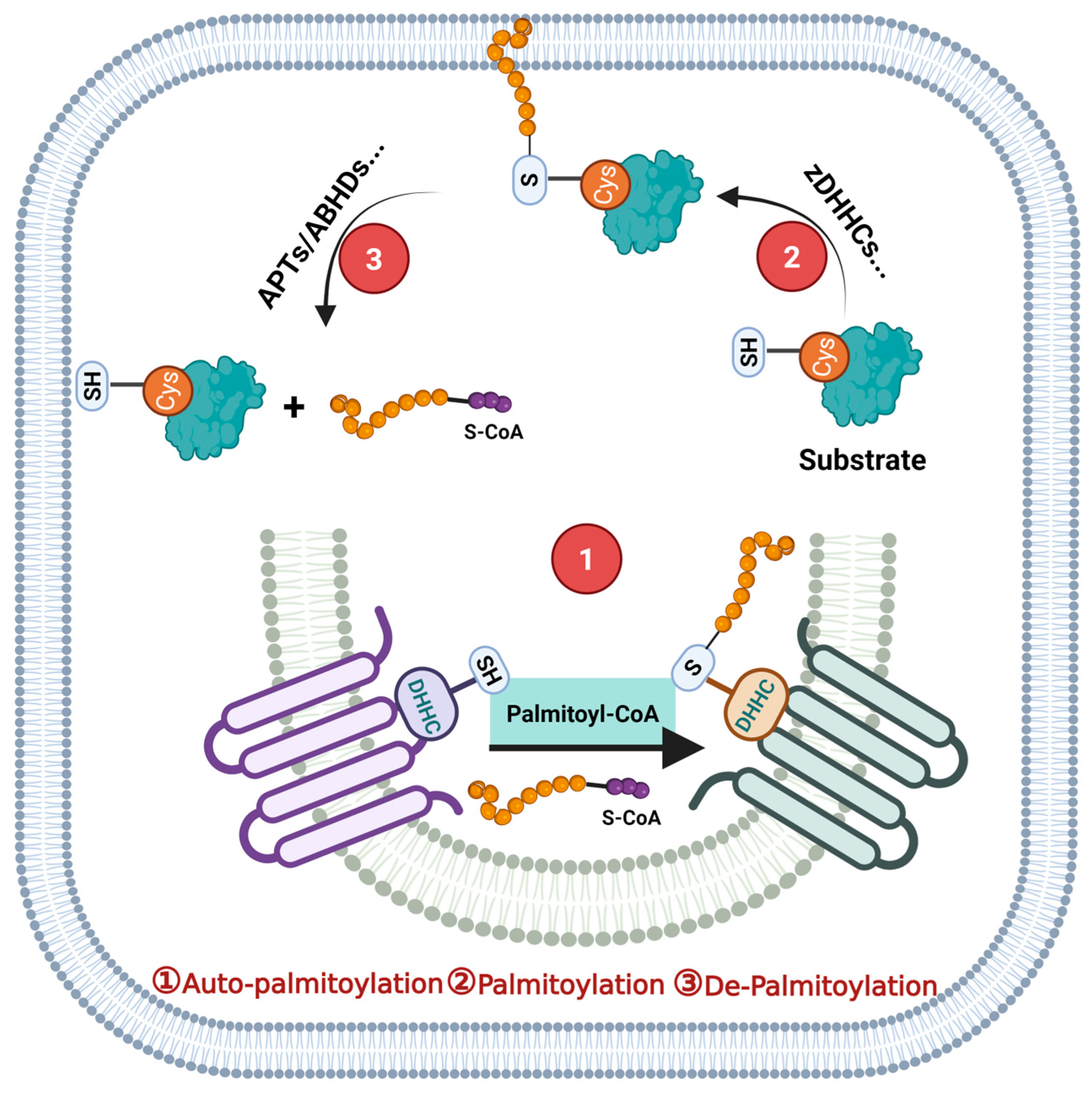 Biomolecules 16 00053 g001