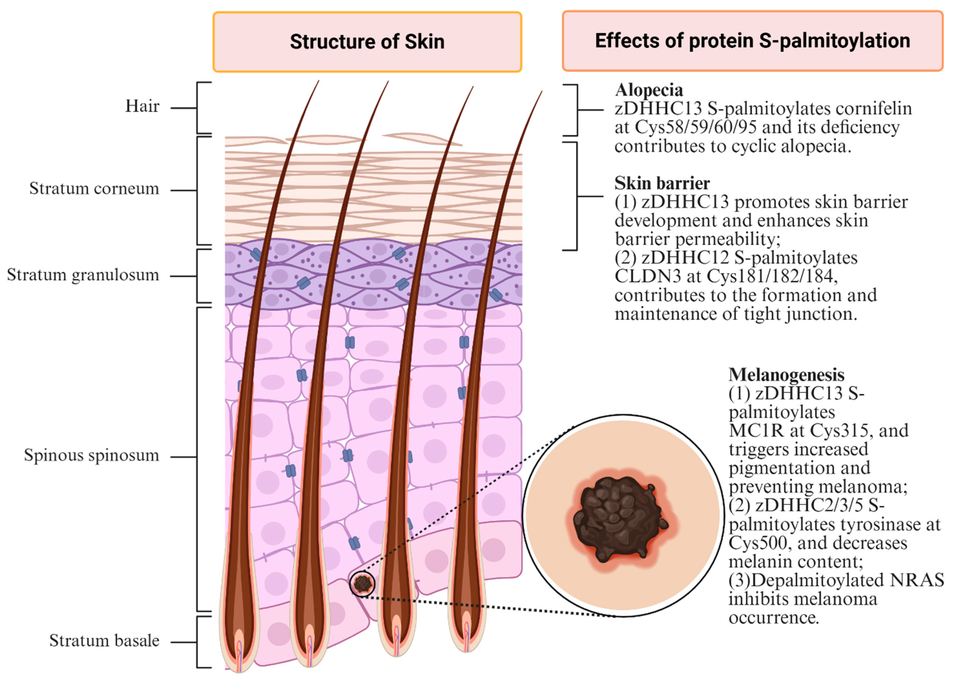 Biomolecules 16 00053 g002