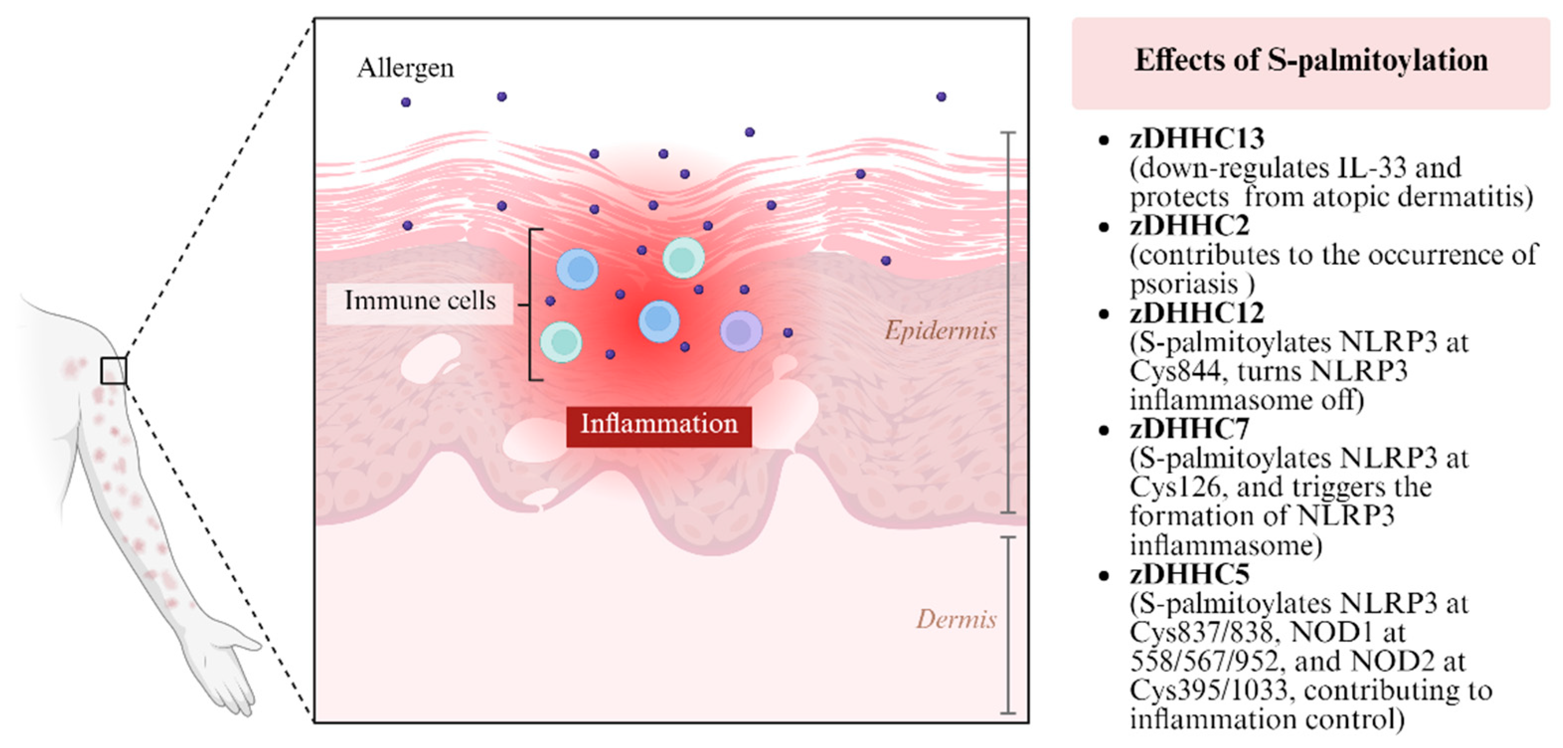 Biomolecules 16 00053 g003