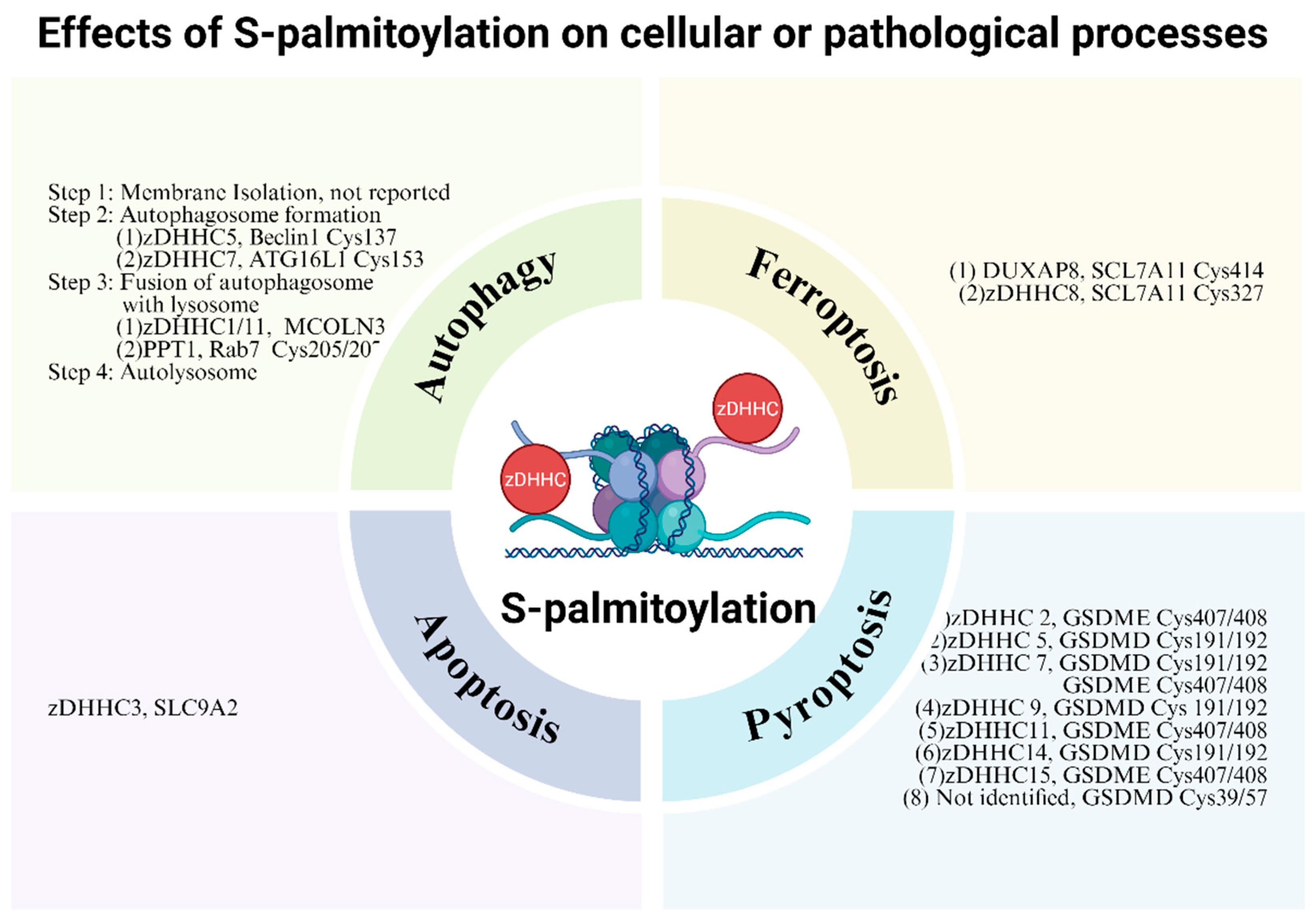 Biomolecules 16 00053 g004