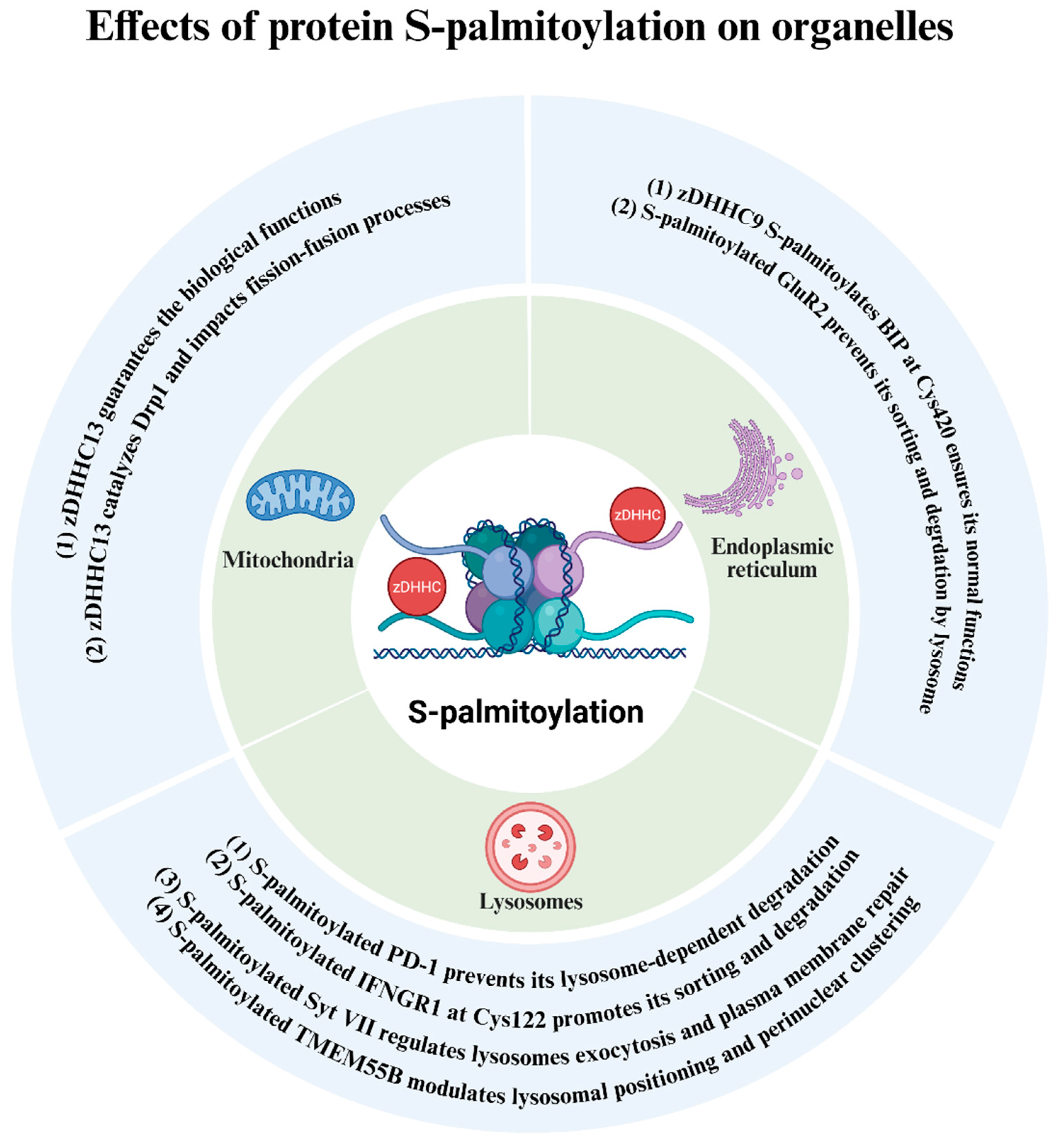 Biomolecules 16 00053 g005
