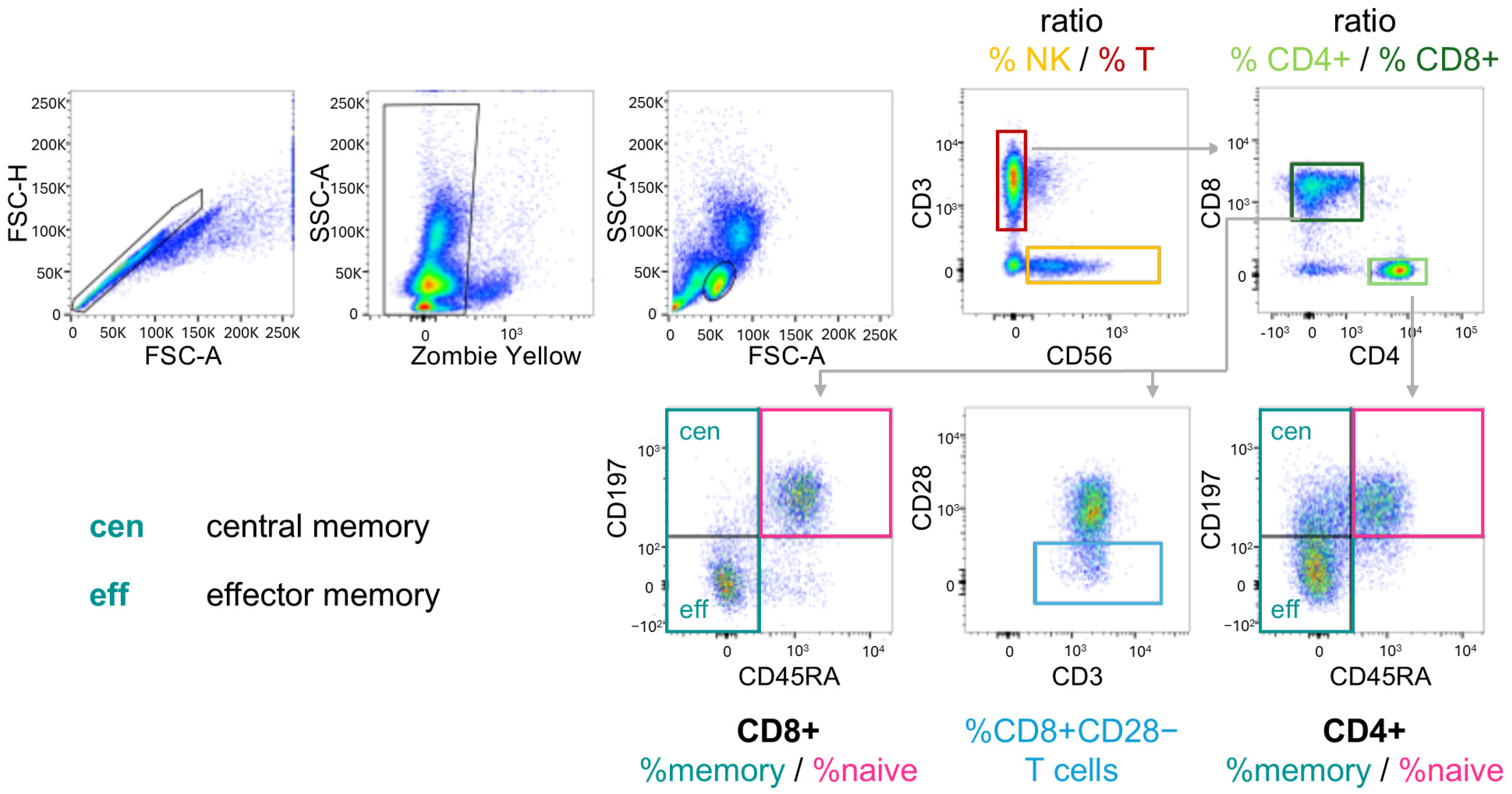 Biomolecules 16 00055 g001 Biomolecules 16 00055 g001