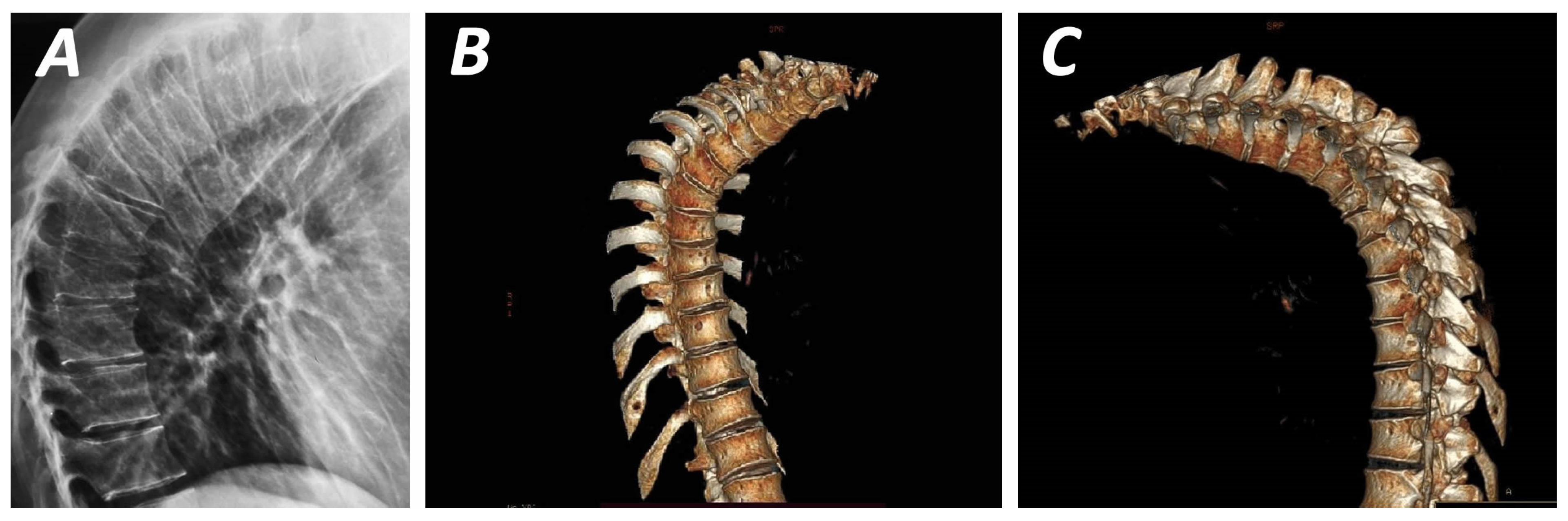 Biomolecules 16 00056 g001 Biomolecules 16 00056 g001